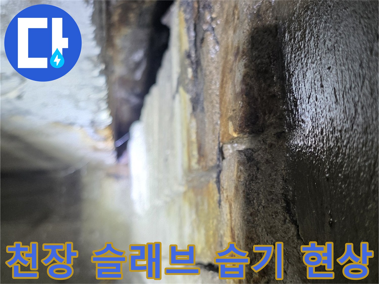 누수가-발생한-상가-천장-슬래브-부위