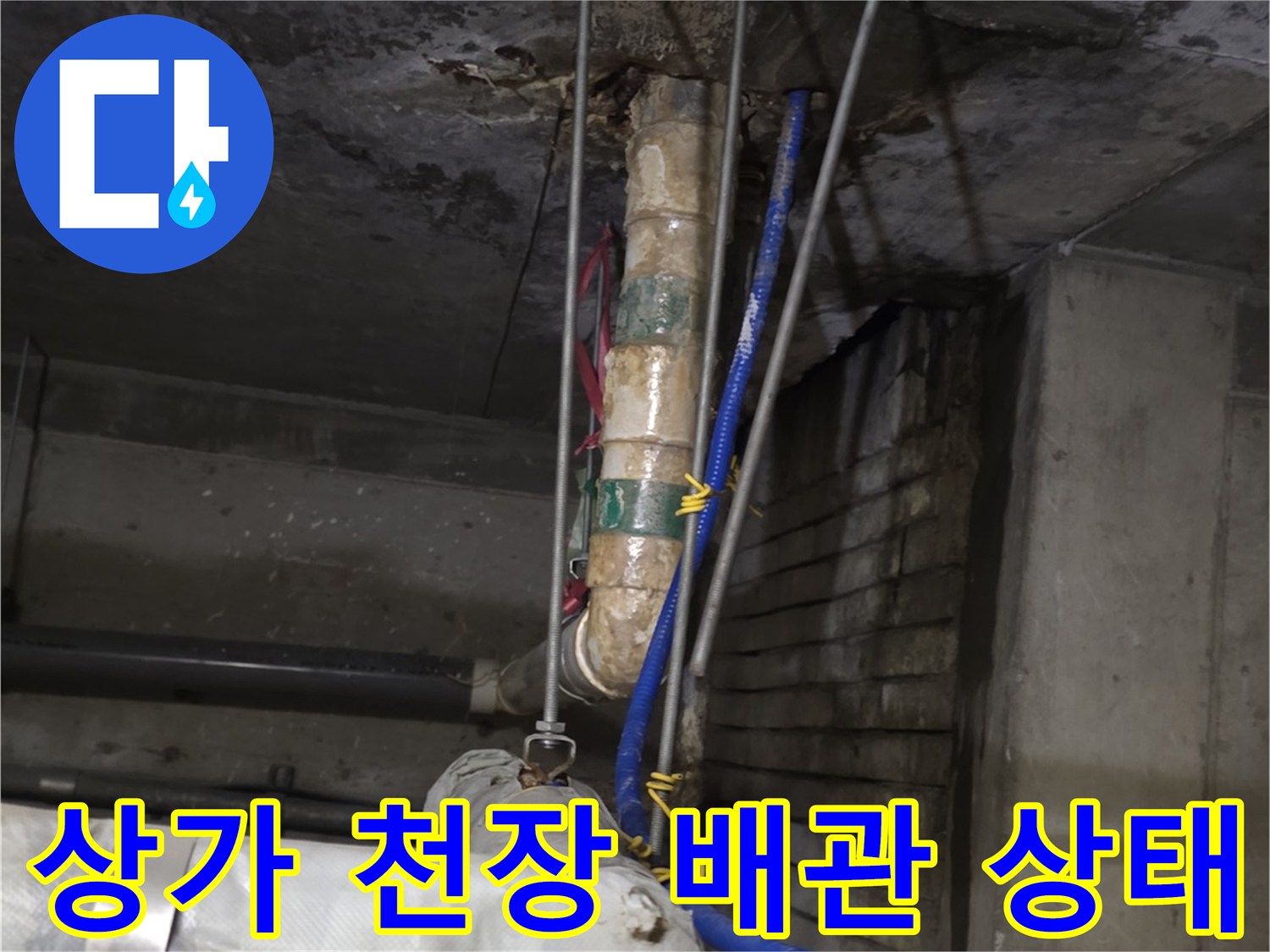 분당-수내동-상가-천장-배관-주변-습기-확인