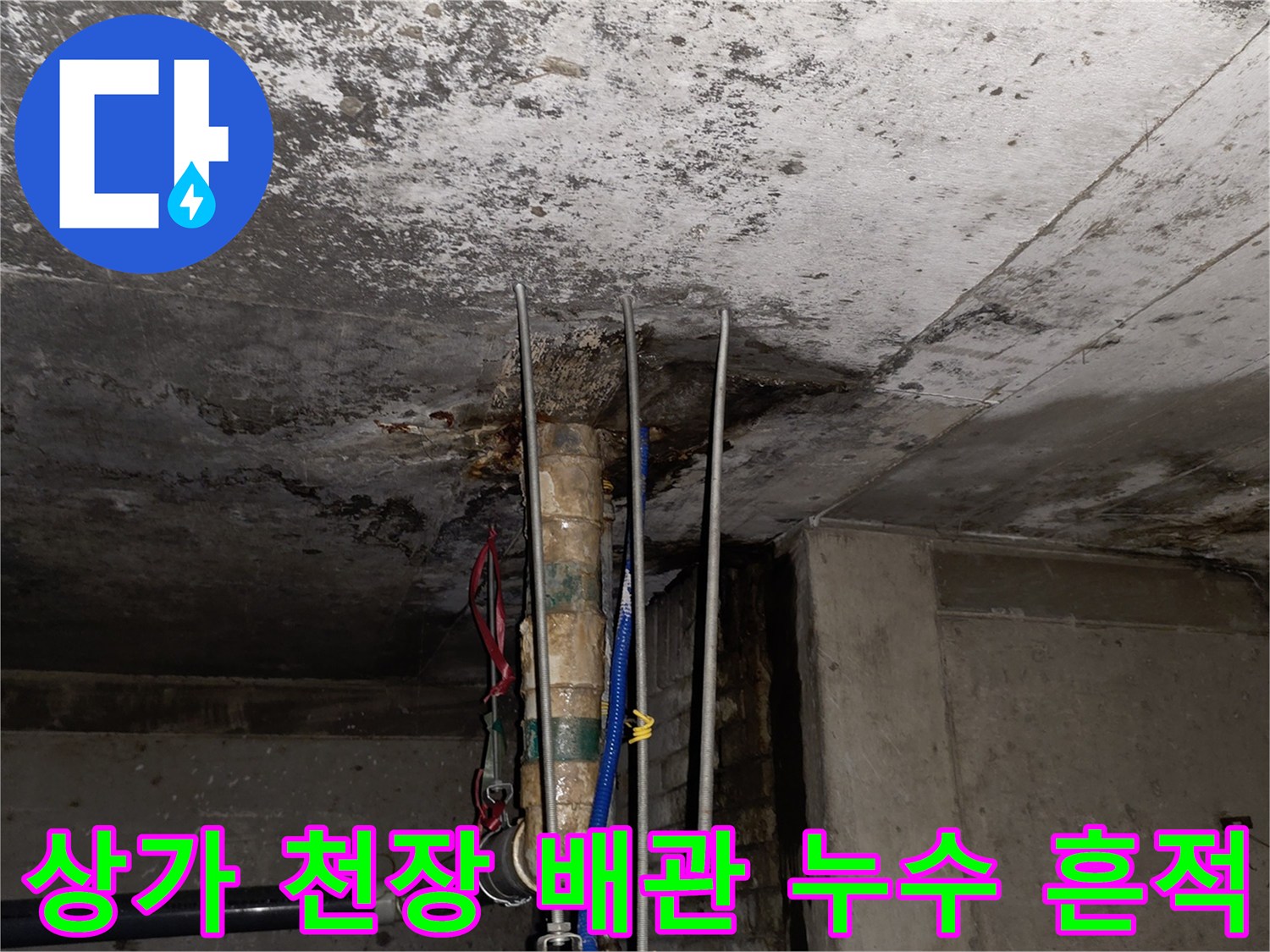 분당 수내동 상가-천장 배관 주변의 습기와 오염된 슬래브 상태