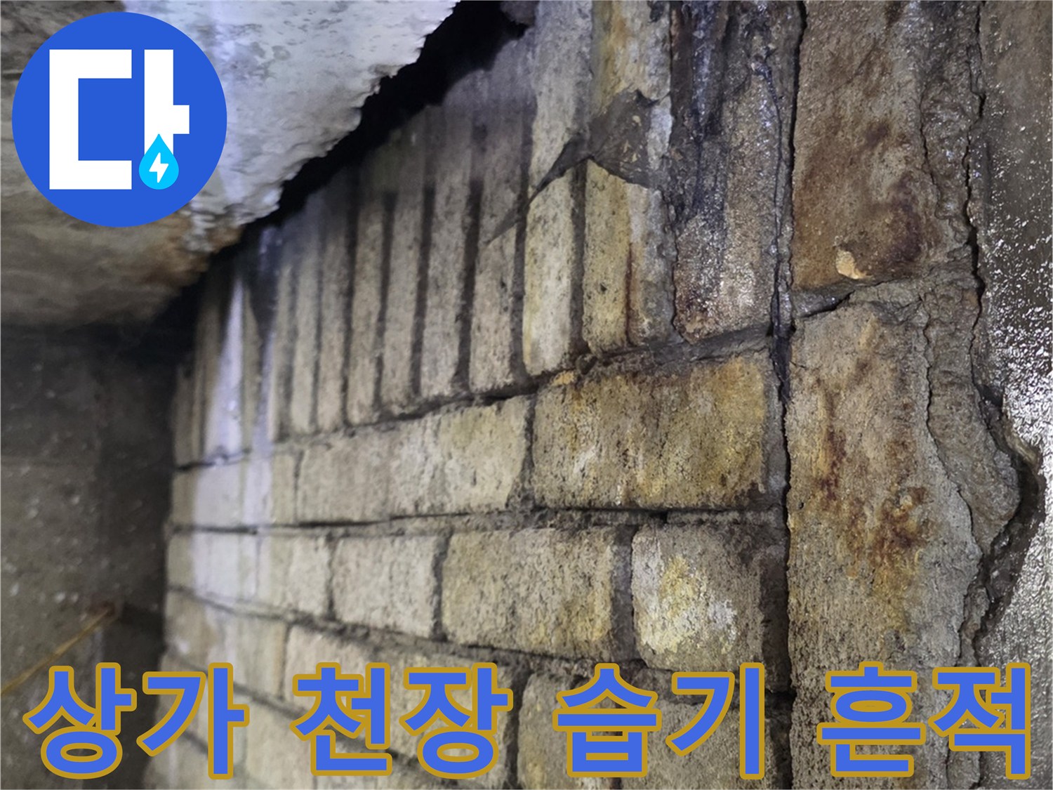 분당-수내동-상가-천장-슬래브-습기-오염-상태