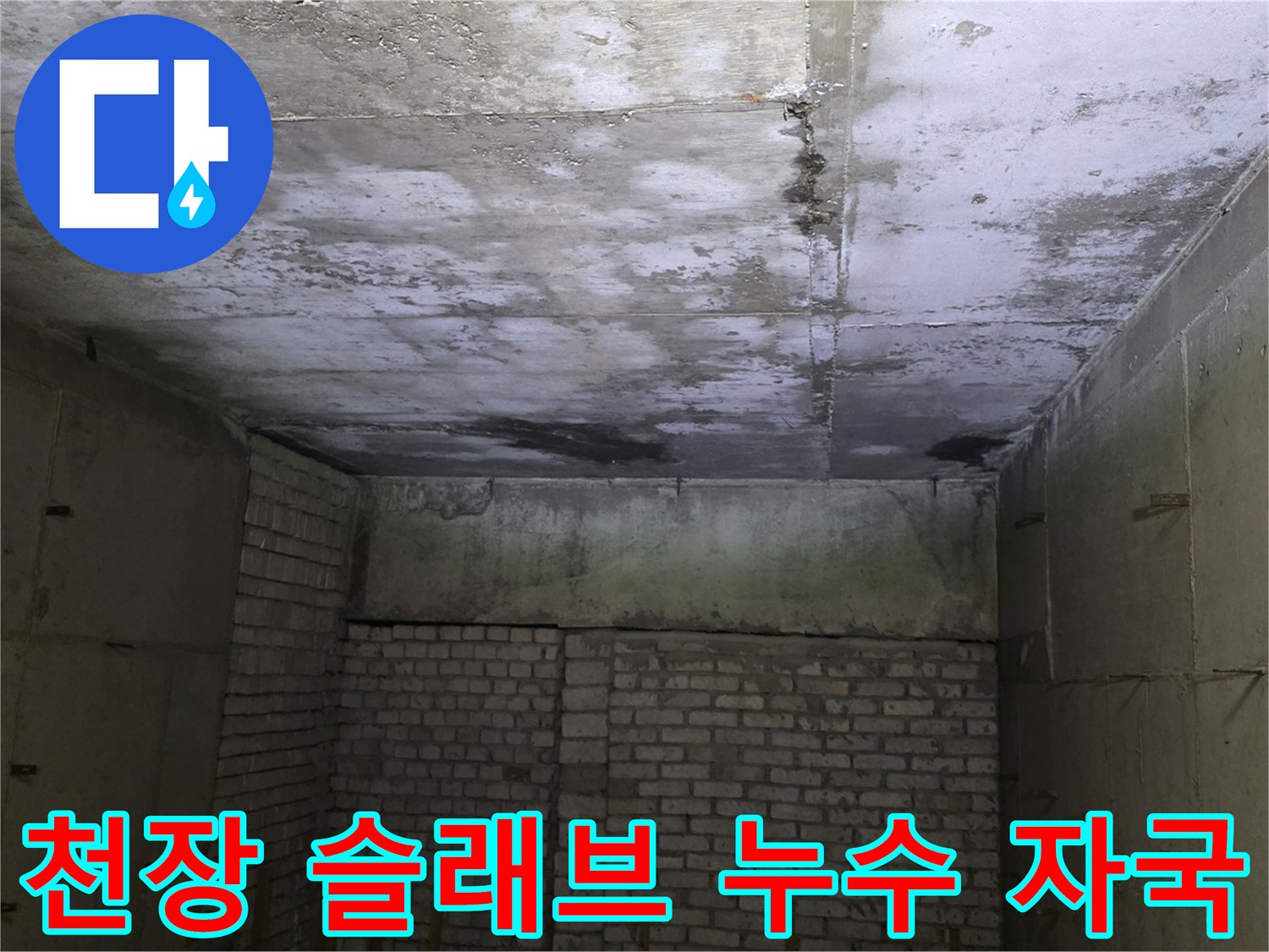 분당-수내동-상가-천장-콘크리트-누수-흔적-촬영