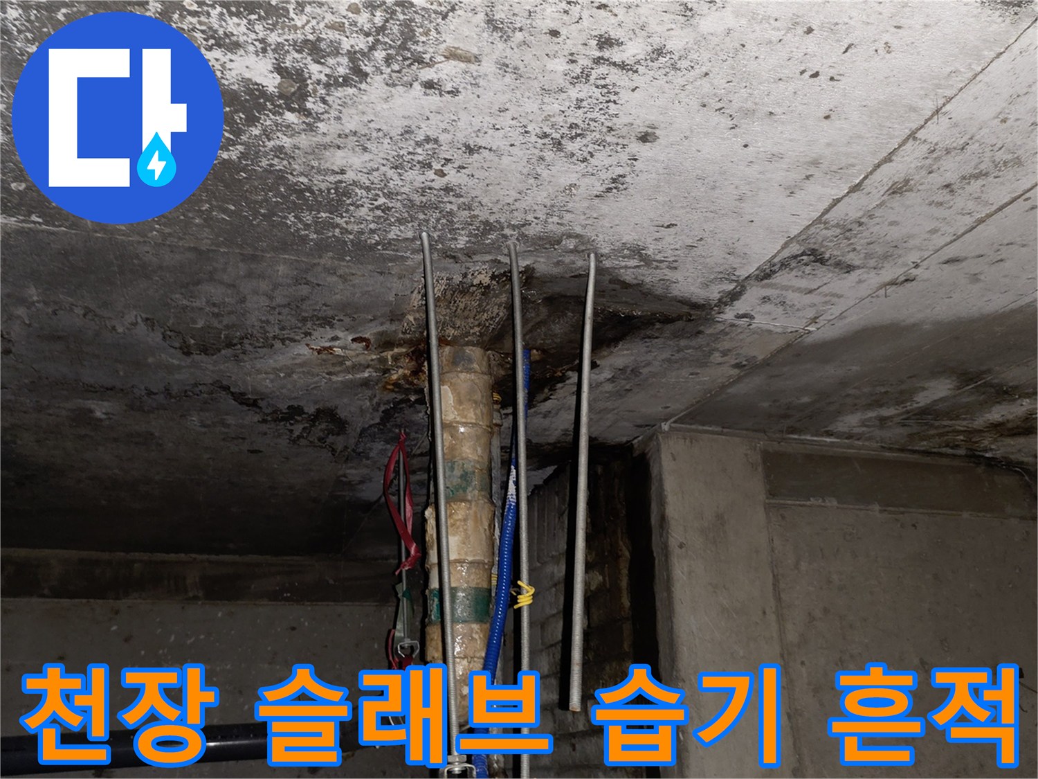 습기로 오염된 천장 콘크리트-물샘으로 인한 슬래브 변색 및 곰팡이 흔적