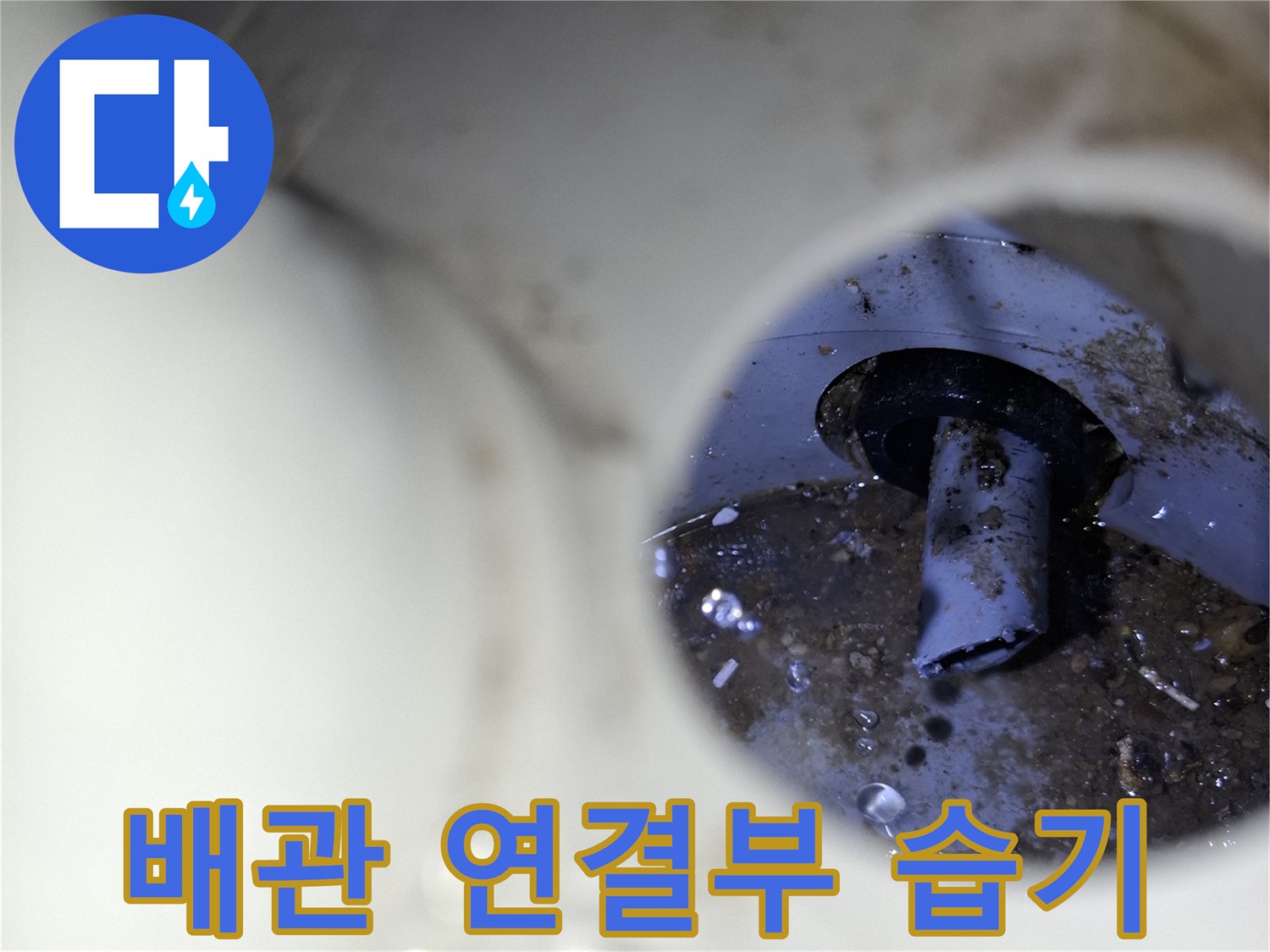 배수구-내부-파이프-주변-젖음