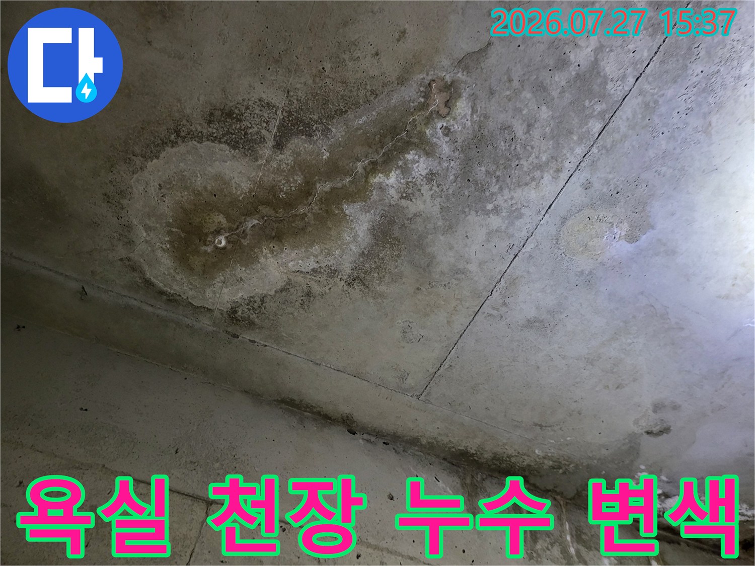 물이-스며들어-둥글게-얼룩진-화장실-천장의-모습