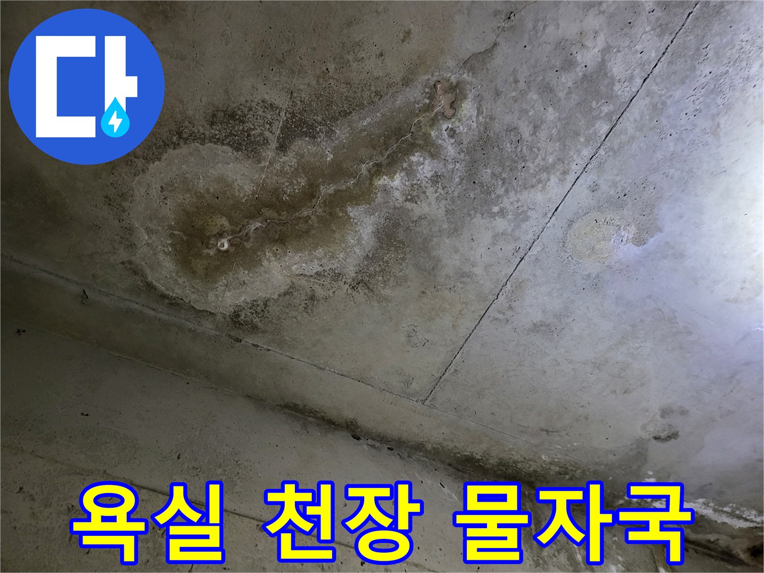 중동 현장 화장실 천장재에 발생한 불규칙한 형태의 누수 흔적
