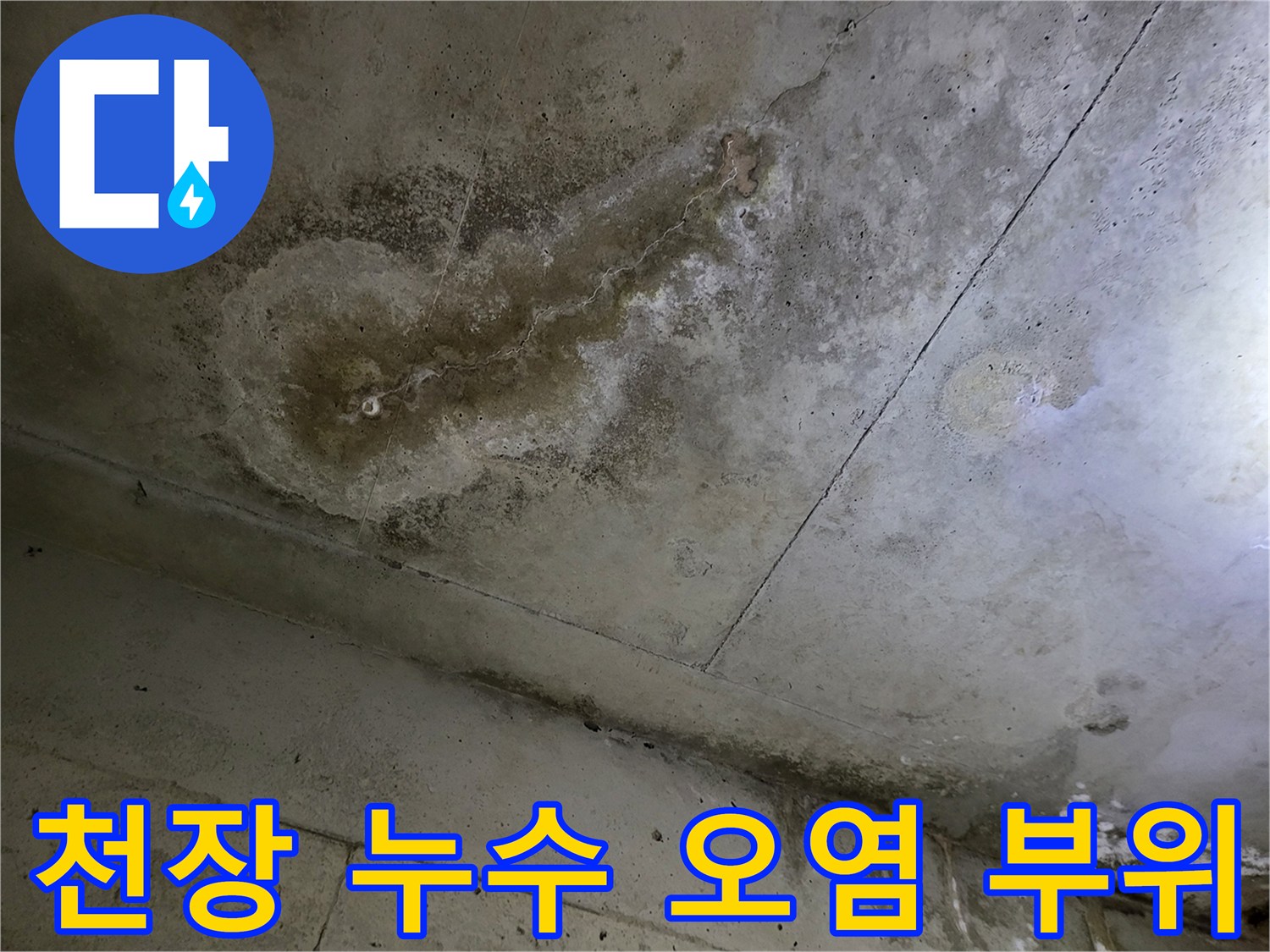 화장실 천장재에 발생한 넓은 범위의 수분 침투 흔적