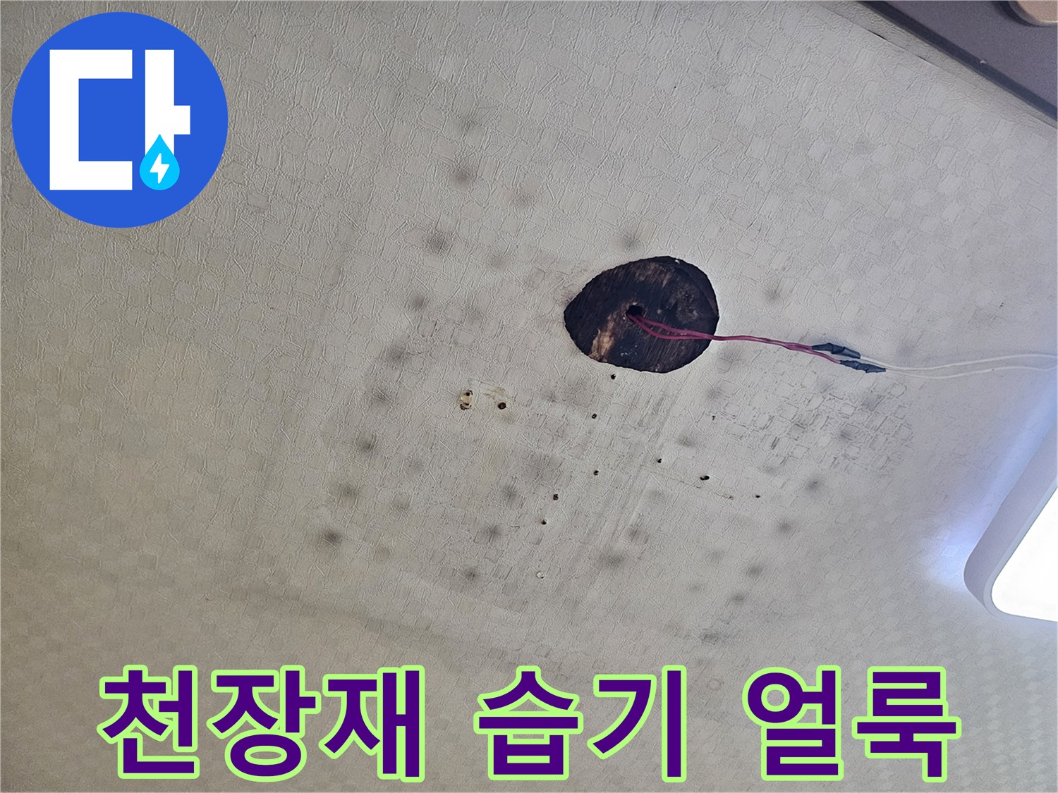 물에-젖어-변색된-천장-텍스-표면
