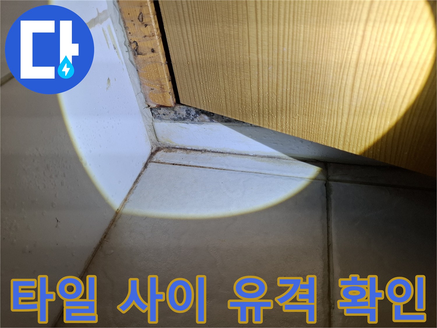 욕실-타일-경계-틈새-누수-점검