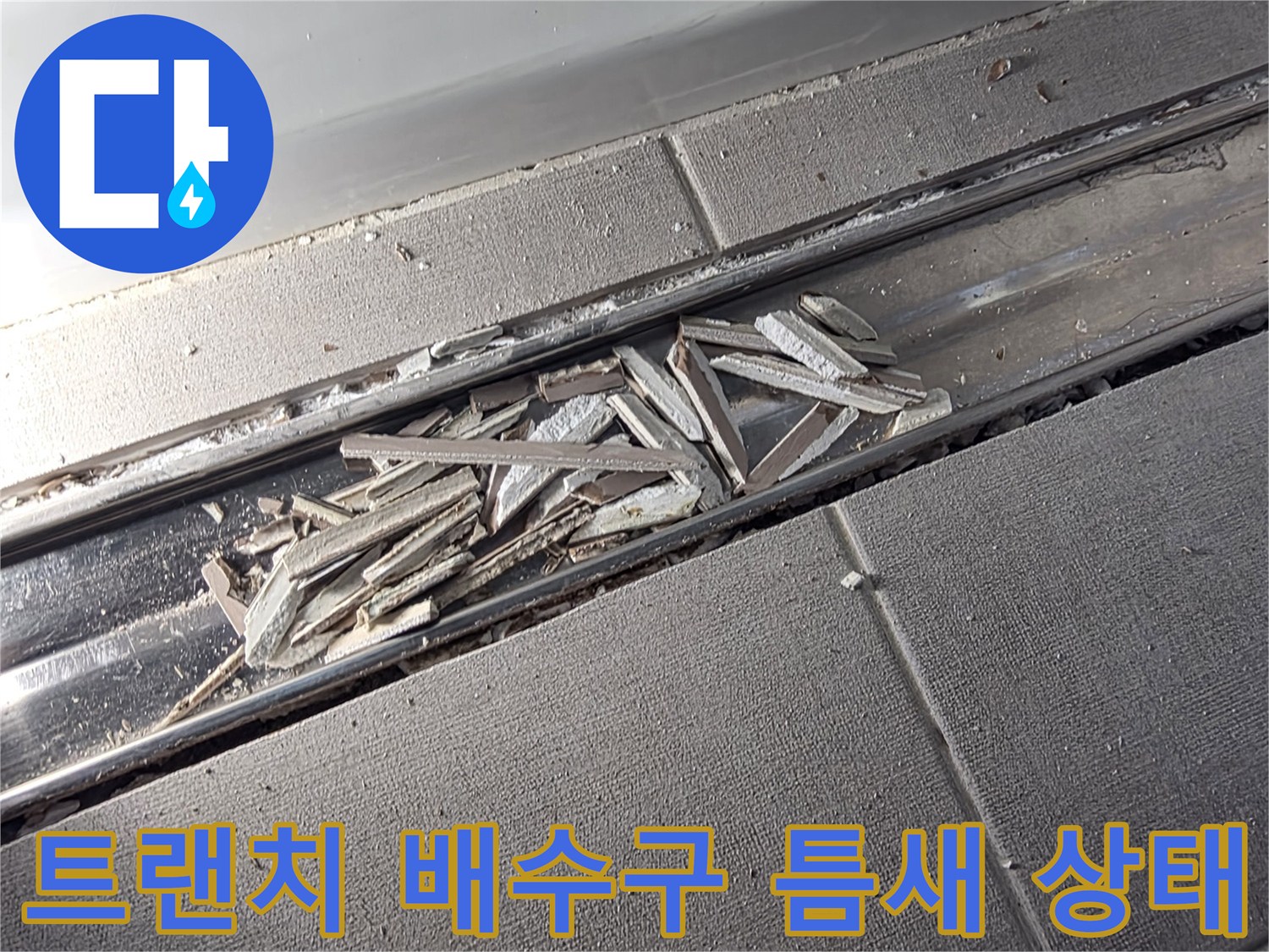 욕실 트랜치 내부-이물질 및 배수구 틈새 관찰