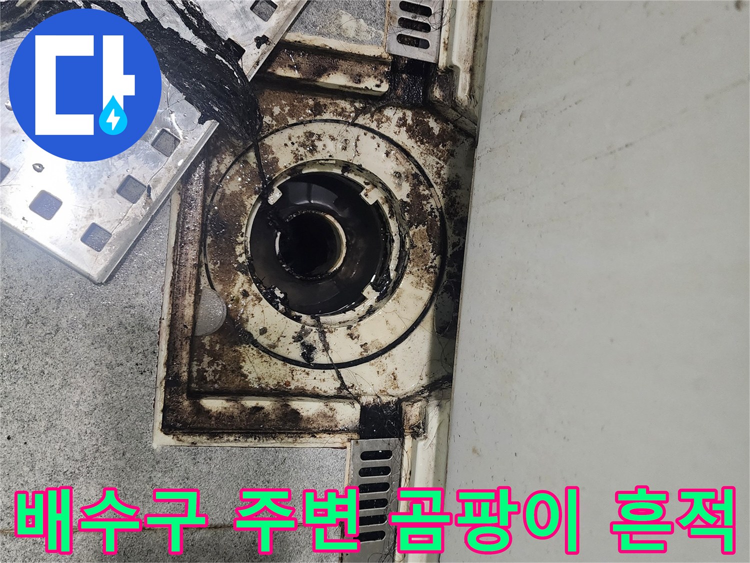 누수로-인한-배수구-주변-곰팡이-발생