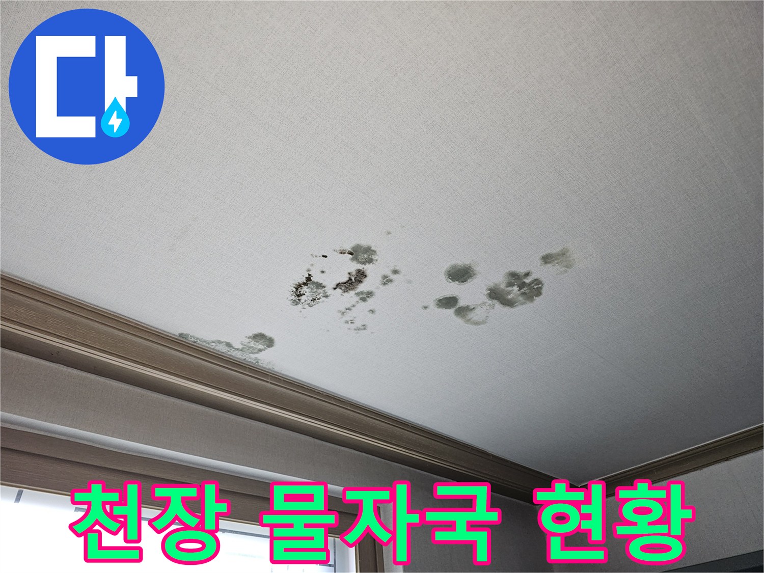 거실 천장에 넓게 퍼진 곰팡이와 습기 얼룩