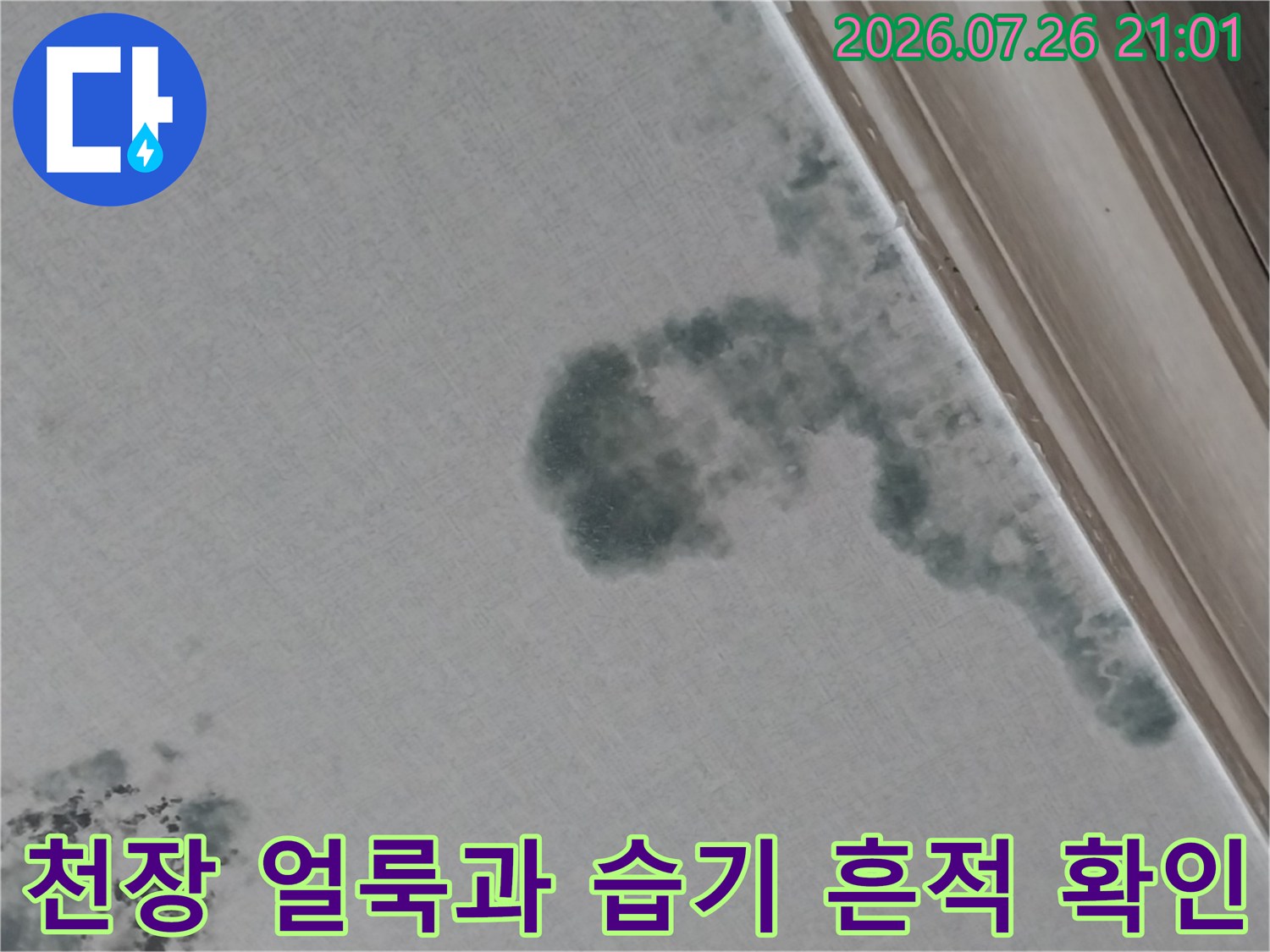 거실 천장에 누수로 인해 발생한 곰팡이와 물자국 사진