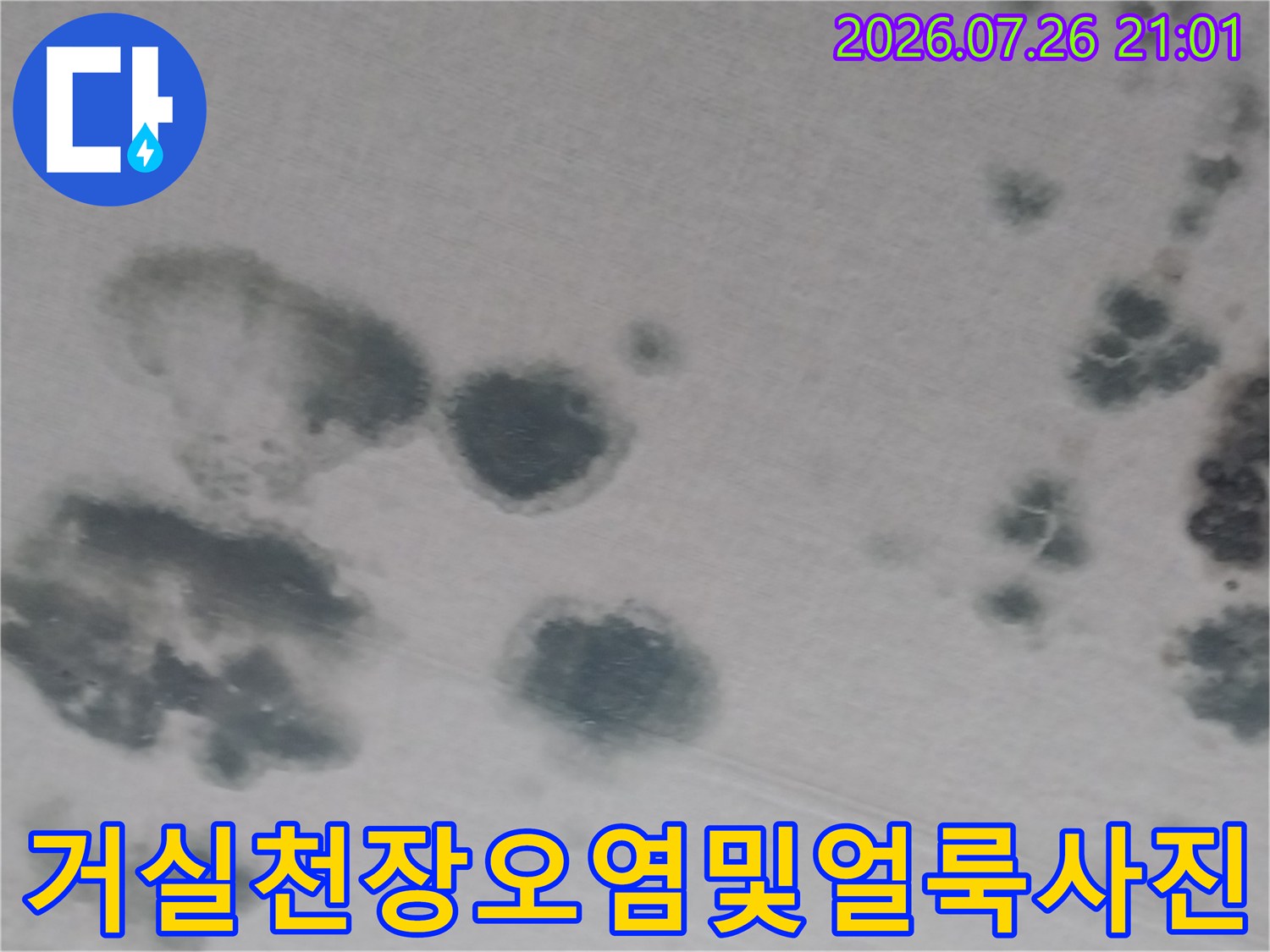 거실 천장에 발생한 누수 피해와 곰팡이 얼룩을 촬영한 사진