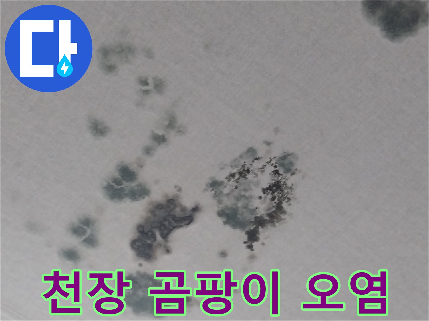 물샘 현상으로 인해 발생한 거실 천장의 곰팡이 및 얼룩 부위
