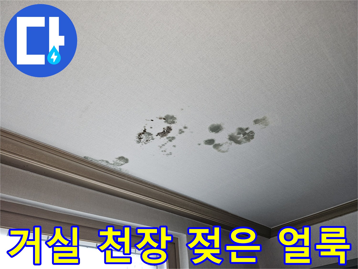 상가주택-2층-천장-벽지-누수-및-곰팡이-상태