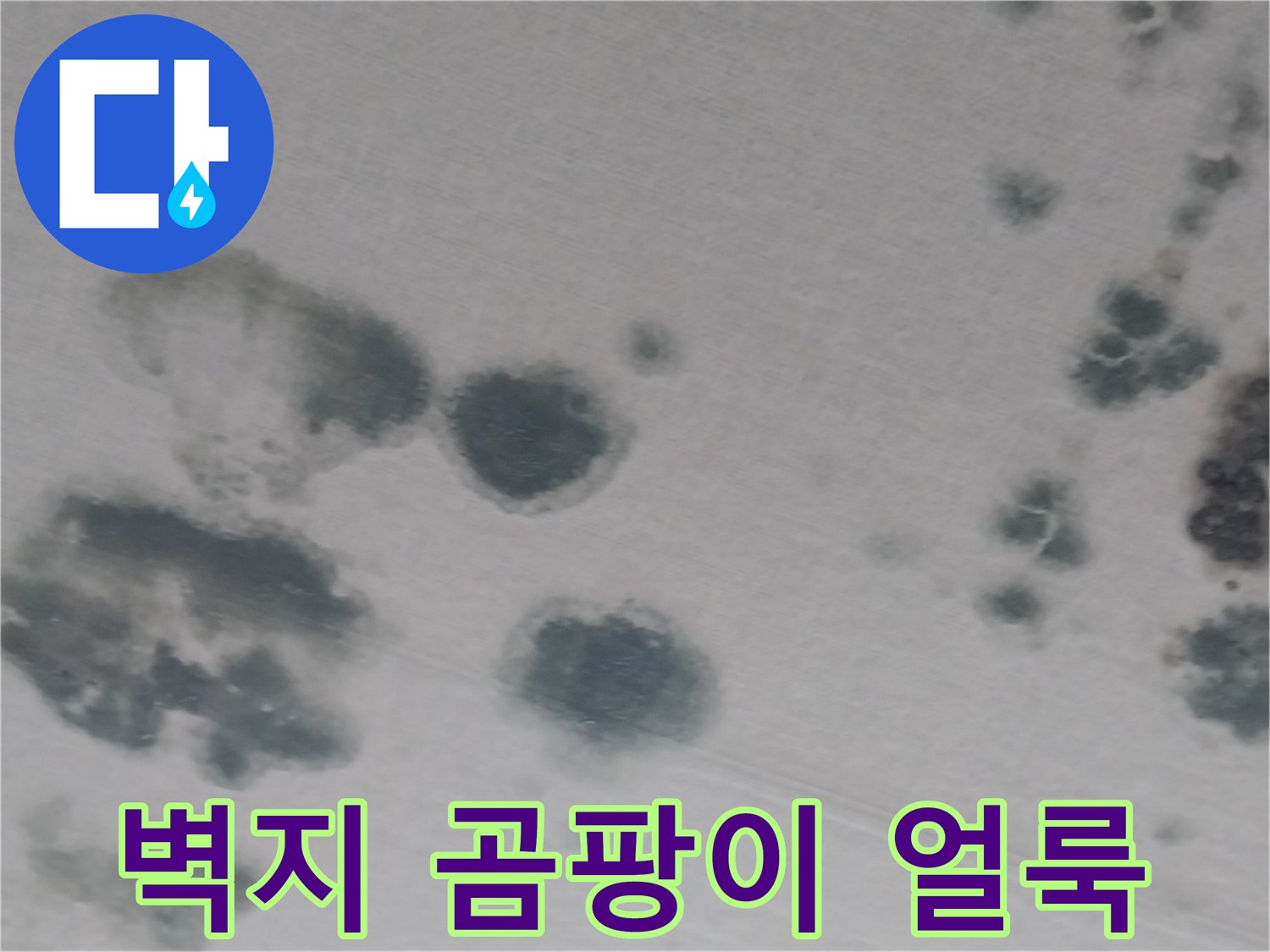 천장 벽면을 따라 광범위하게 퍼진 곰팡이와 물젖음 자국