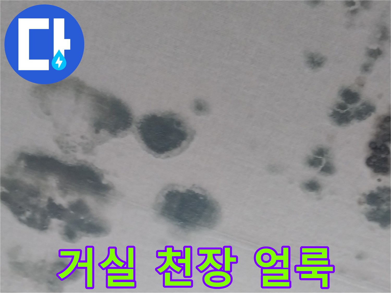 화성 동탄 거실 천장의 물젖음과 곰양 현상 사진
