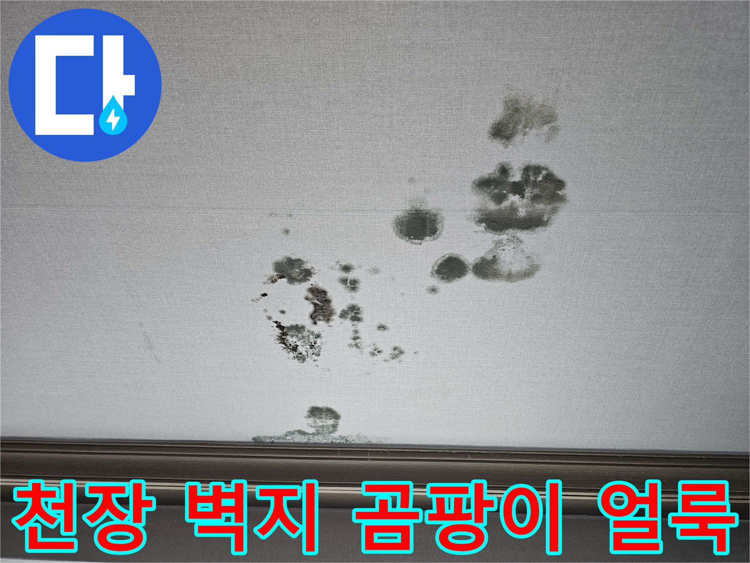 화성 동탄 상가주택-2층 거실 천장 벽지에 발생한 곰팡이와 물자국 현상