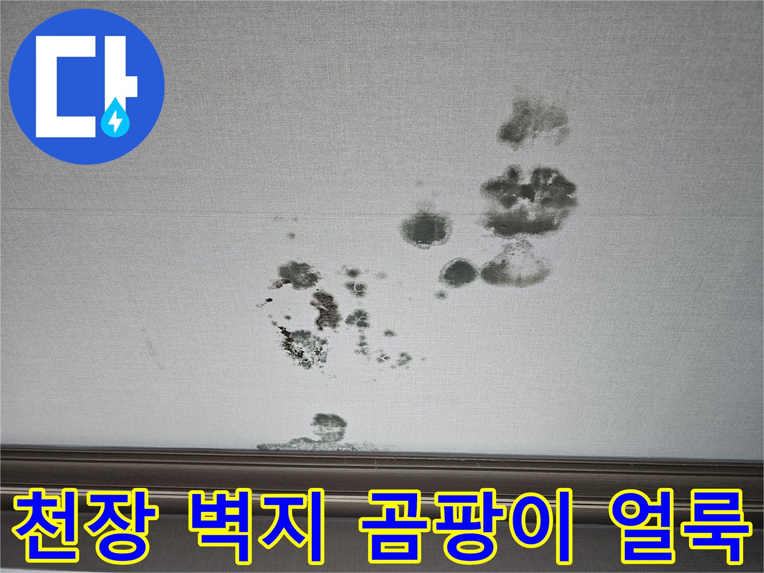 화성 동탄 상가주한 거실 천장 벽지에 발생한 검은색 곰팡이와 물젖음 흔적
