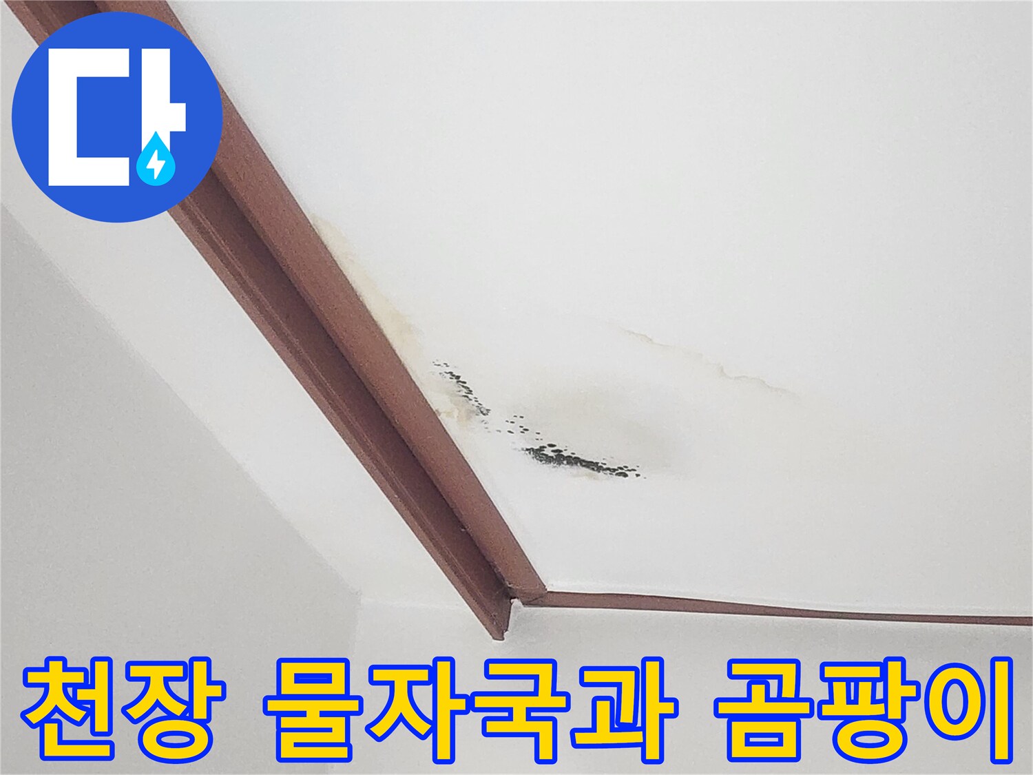 거실 천장 벽면에 발생한 누런 물 얼룩과 검은 곰팡이 상태