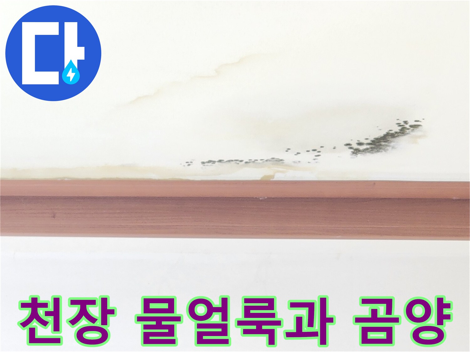 거실-천장에-발생한-누런-물자국과-검은-곰팡이-상태