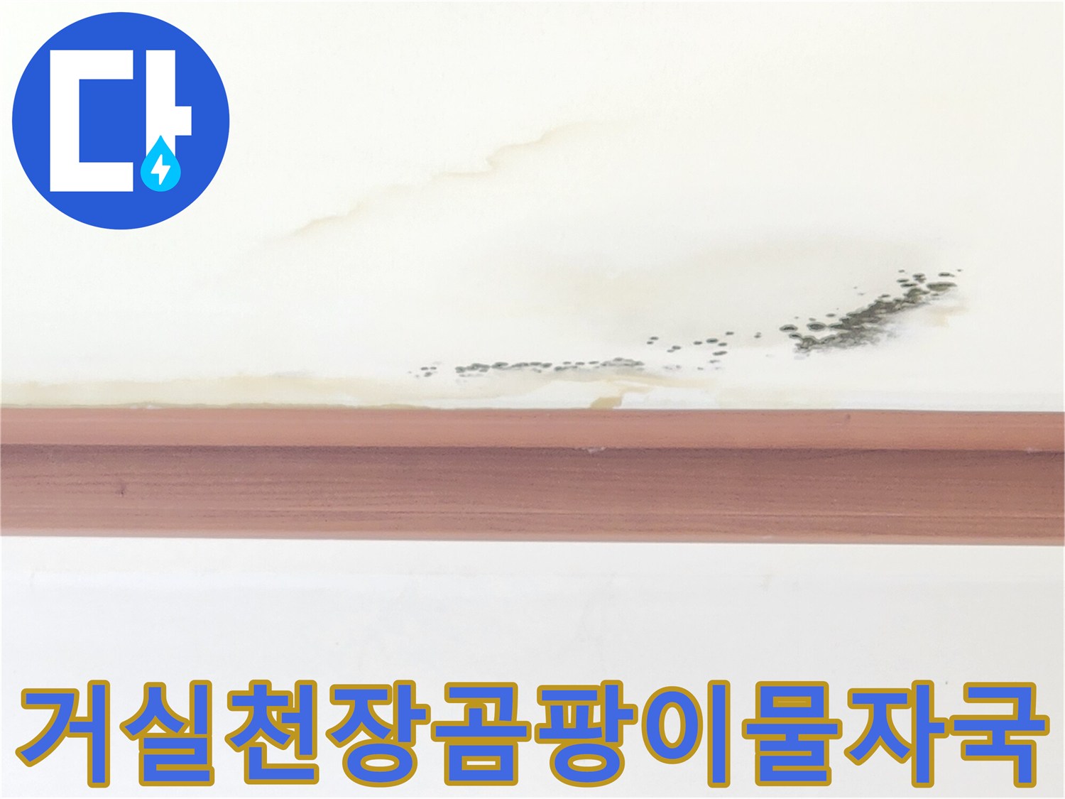 누수로-얼룩진-천장-벽면의-곰팡이-오염 상태