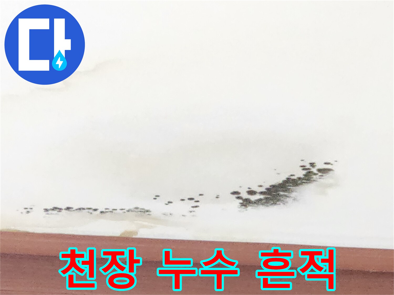 벽면 상단의 곰팡이와 침수된 벽지 모습