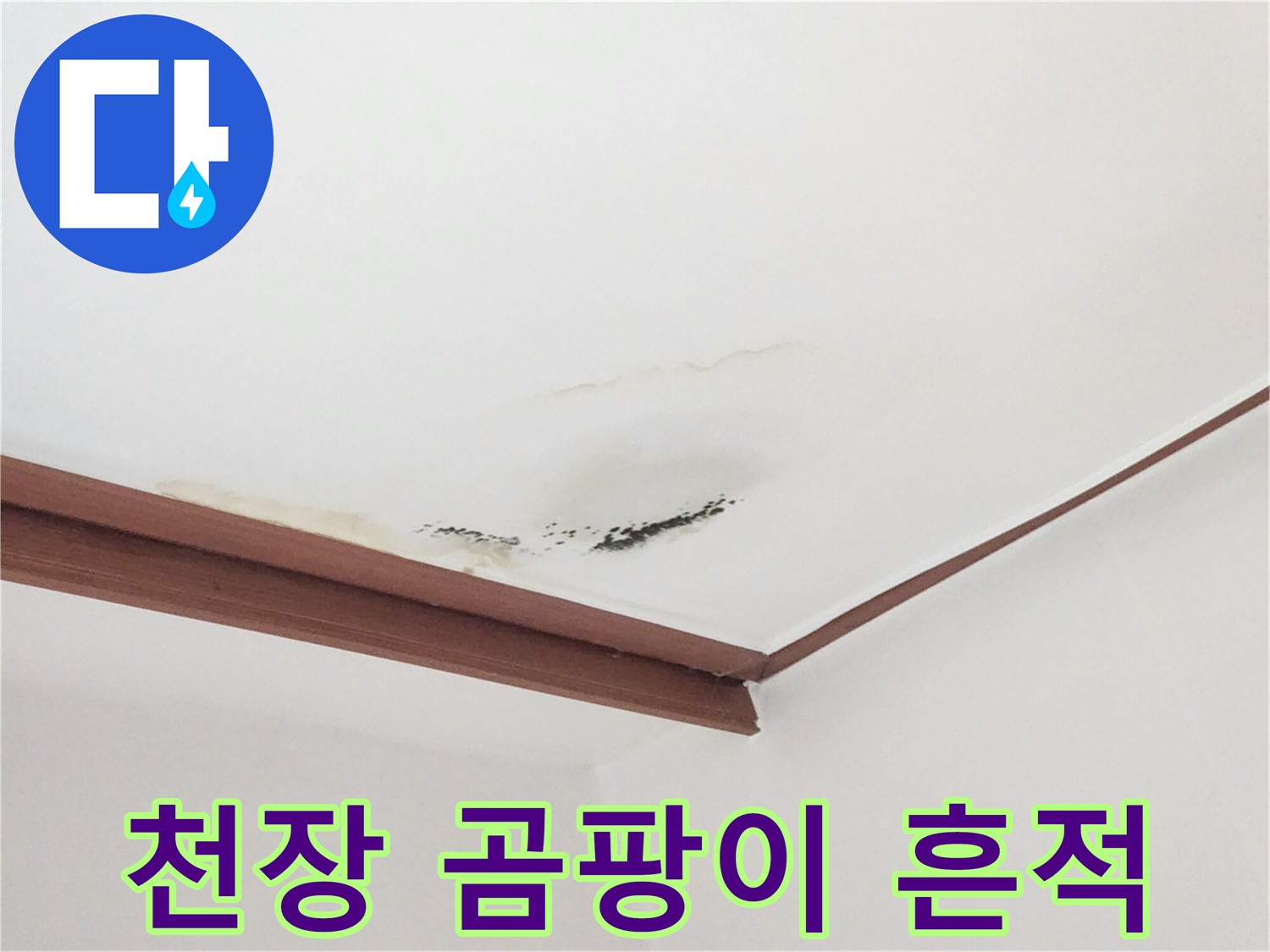 중구-거실-천장-누수-피해-부위-확인