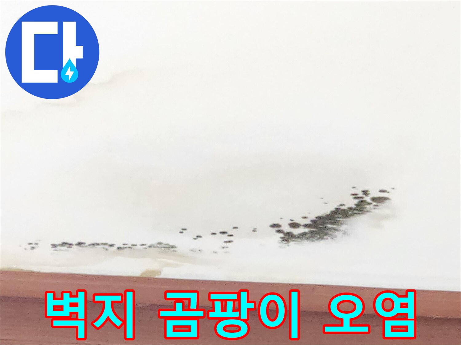천장-몰딩-부근의-누수-흔적과-곰팡이-확산-상태