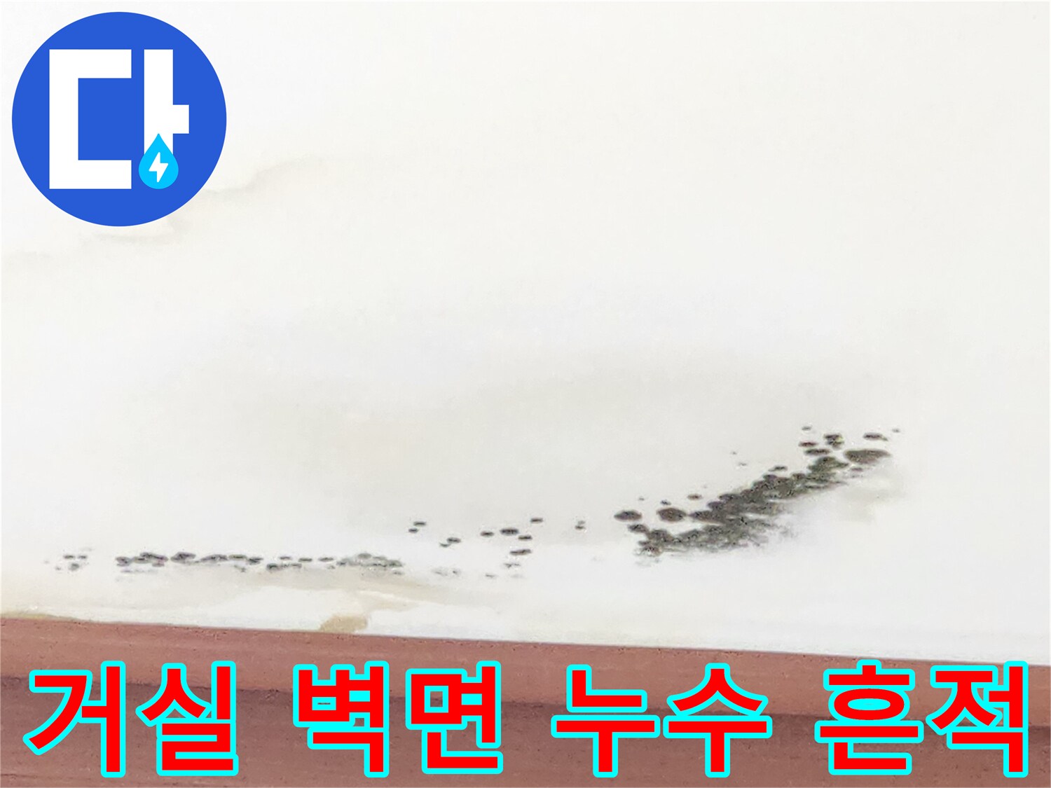 천장 몰딩 하단부의 젖은 얼룩과 검게 피어오른 곰팡이