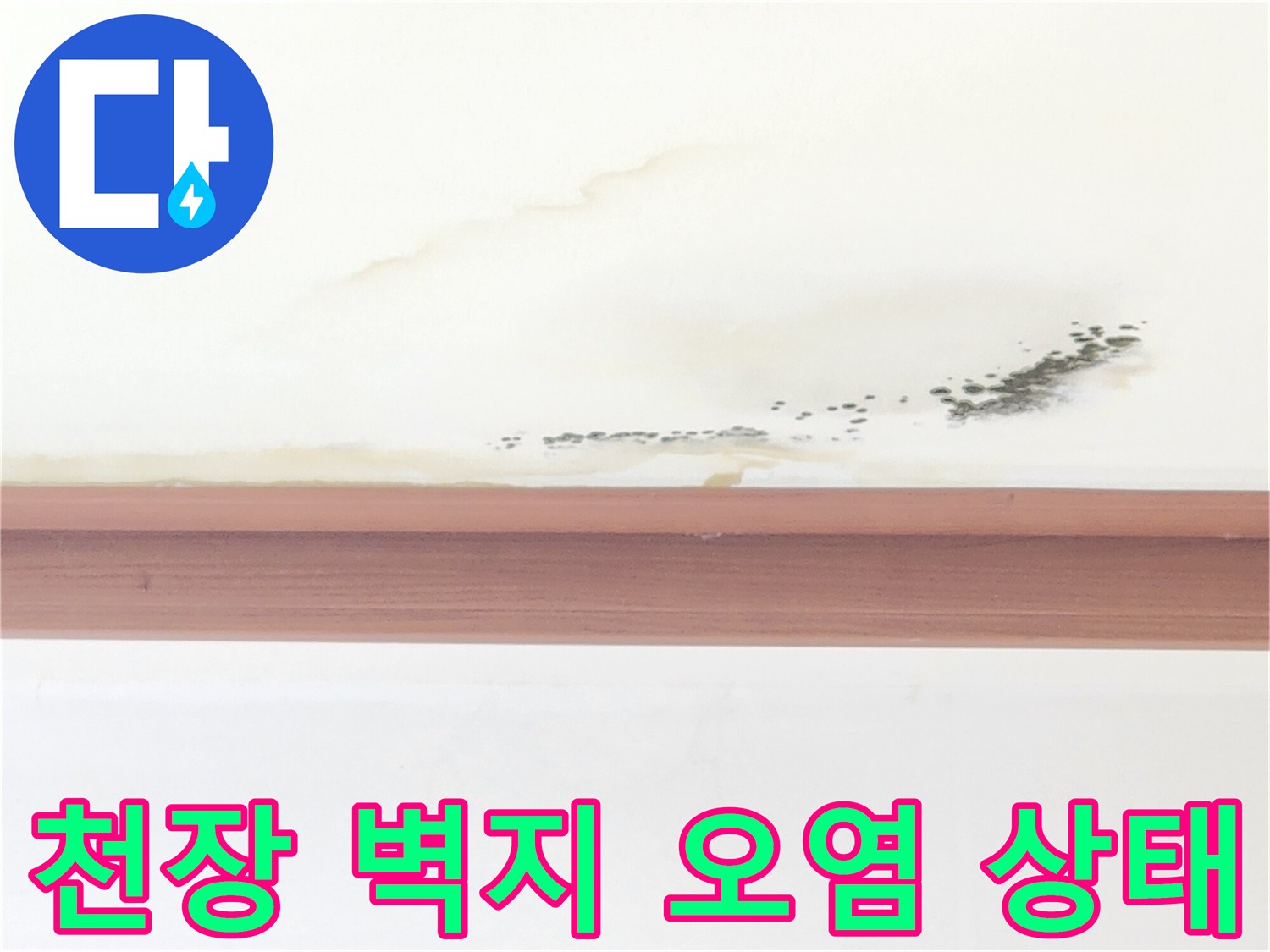 천장-벽면의-누런색-변색과-검은색-곰팡이점