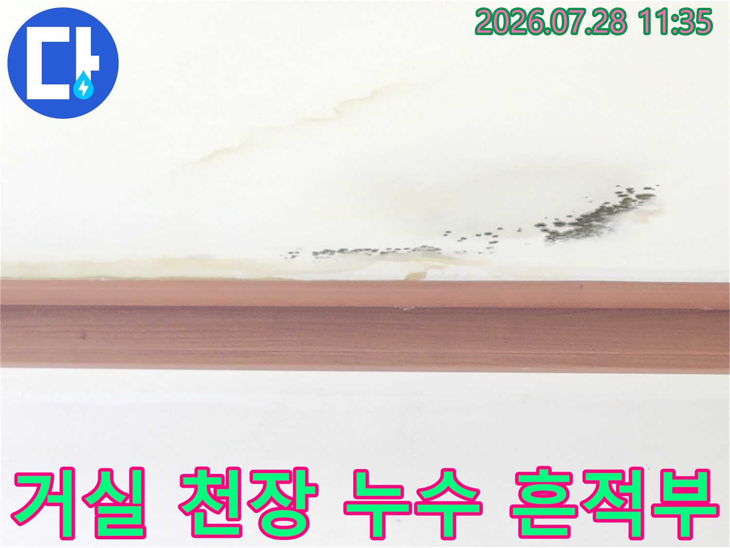 천장의 물자국과 곰팡이 형성 부위를 촬영한 사진