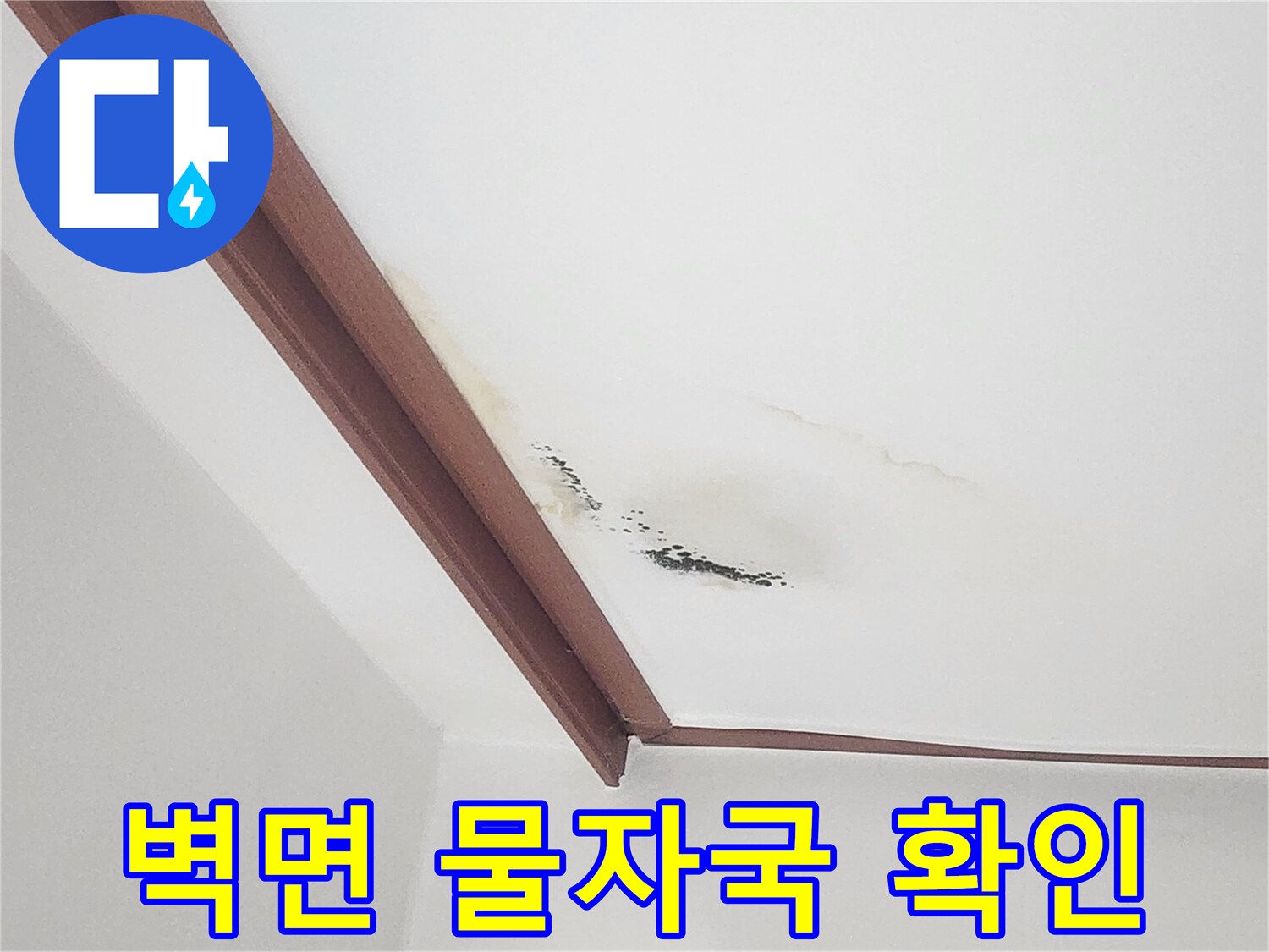 하얀 벽면의 누런 얼룩과 곰팡이가 피어있는 천장 부위