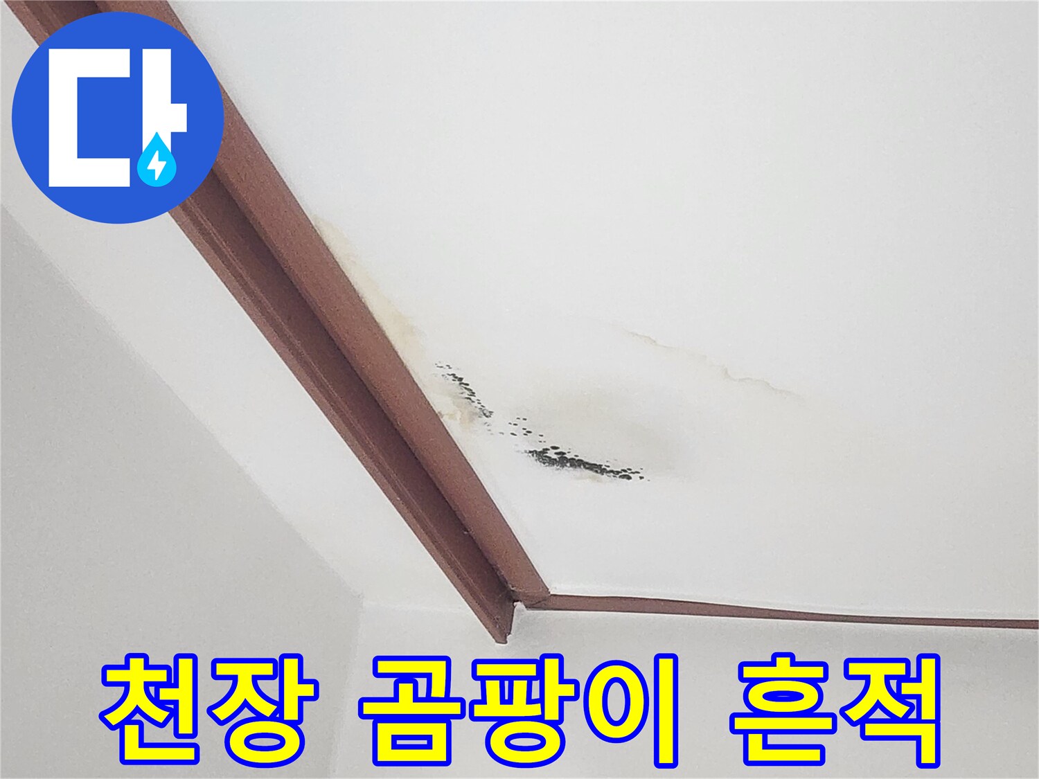 하얀 벽지에 나타난 누런색 물자국과 검은색 곰팡이 자국