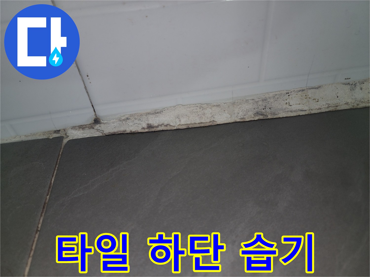 습기가 스며든 타일과 바닥 경계선
