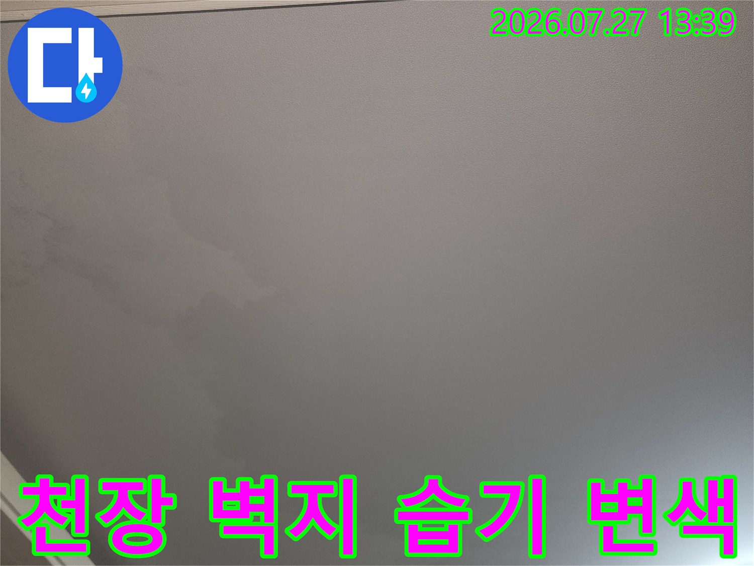 윗집 누수로 인해 아래층 거실 천장 도배지가 젖어 얼룩진 모습