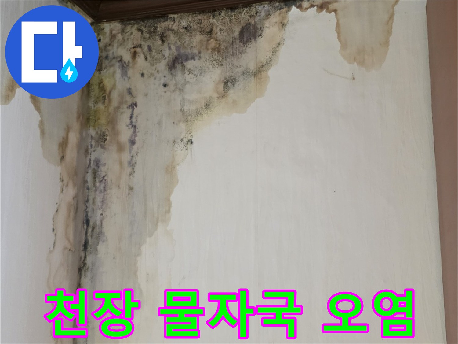 벽면 상단의 넓은 누수 얼룩과 곰팡이 번식 부위