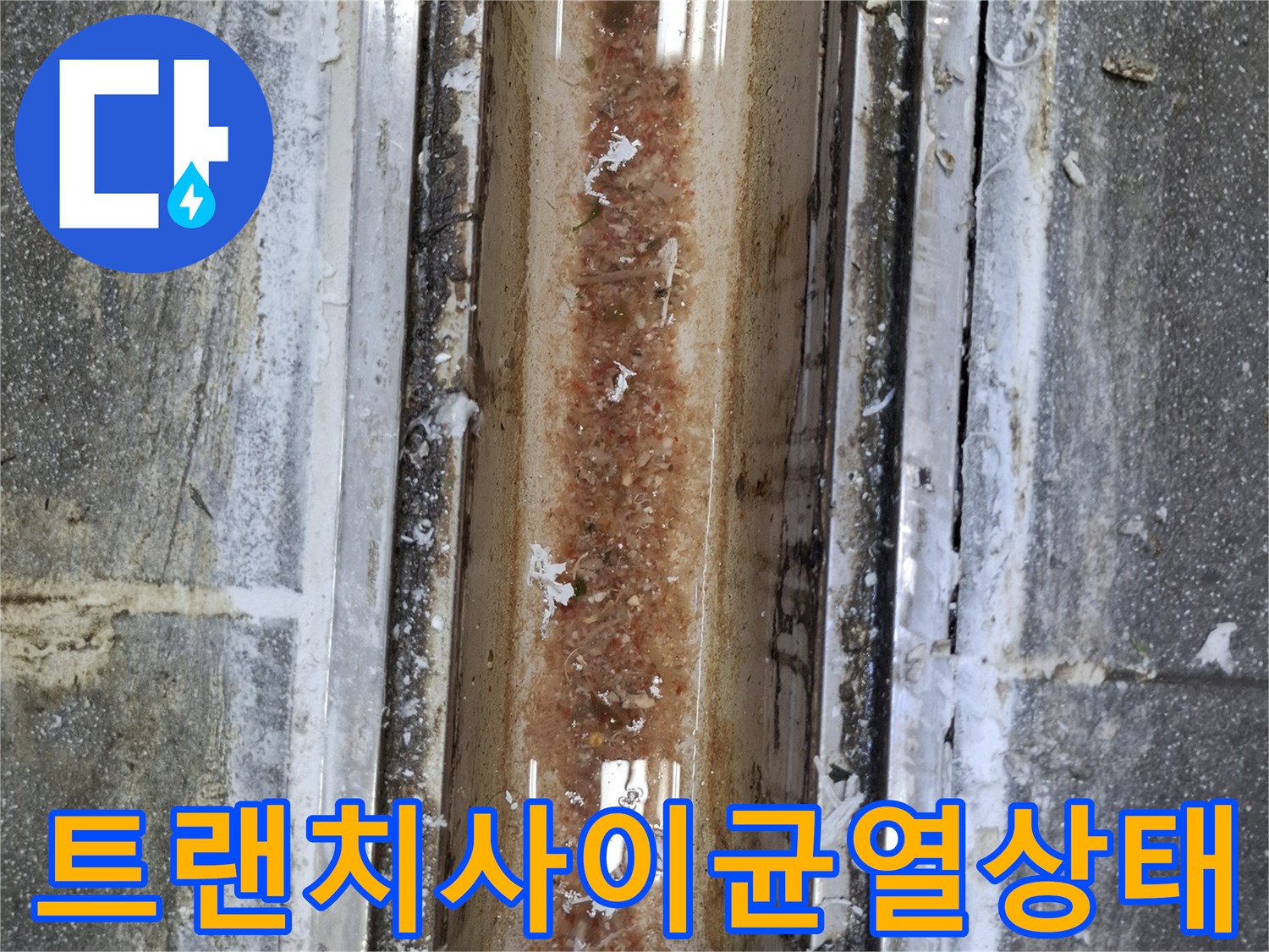 식당-주방-트랜치-가장자리-틈새-및-오염-상태