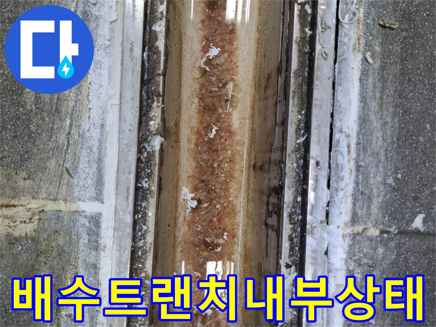 중랑구-식당-주방-트랜치-내부-이물질-및-오염
