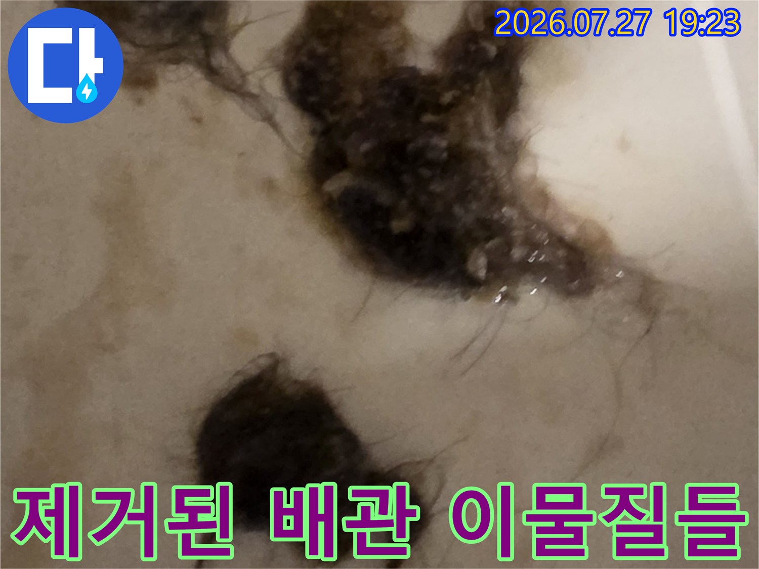 흰색 바닥 위에 놓인-걸러져 나온 머리카락과 오염물 덩어리 사진