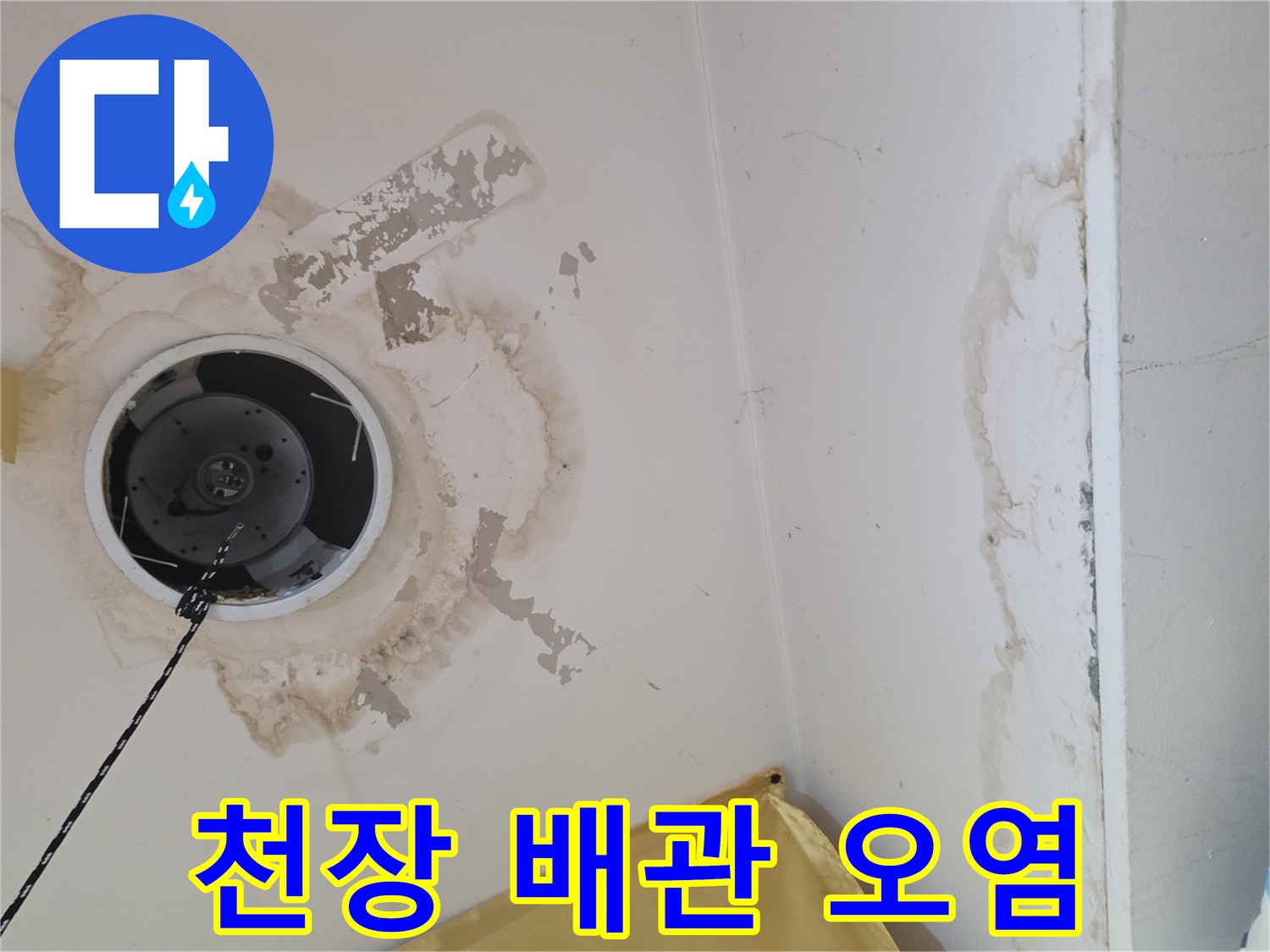 배관 주변으로 번진 천장 누수 흔적과 변색된 마감재