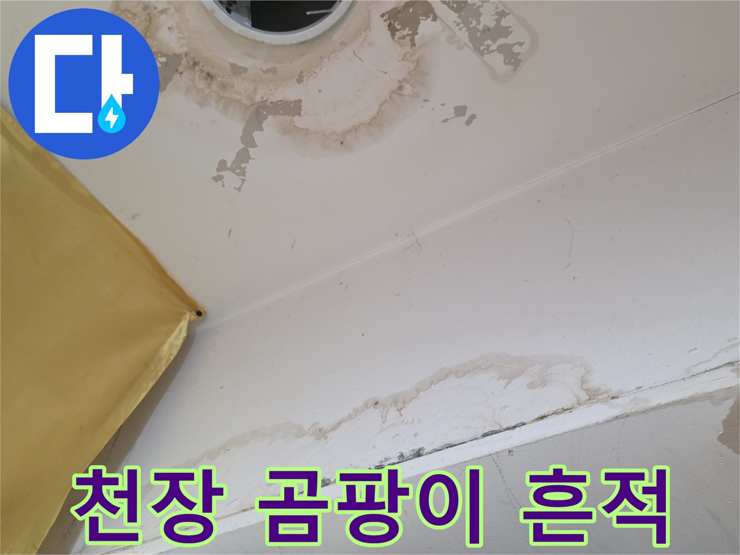 상가주택 1층-천장 구석과 조명 주변의 곰팡이 오염
