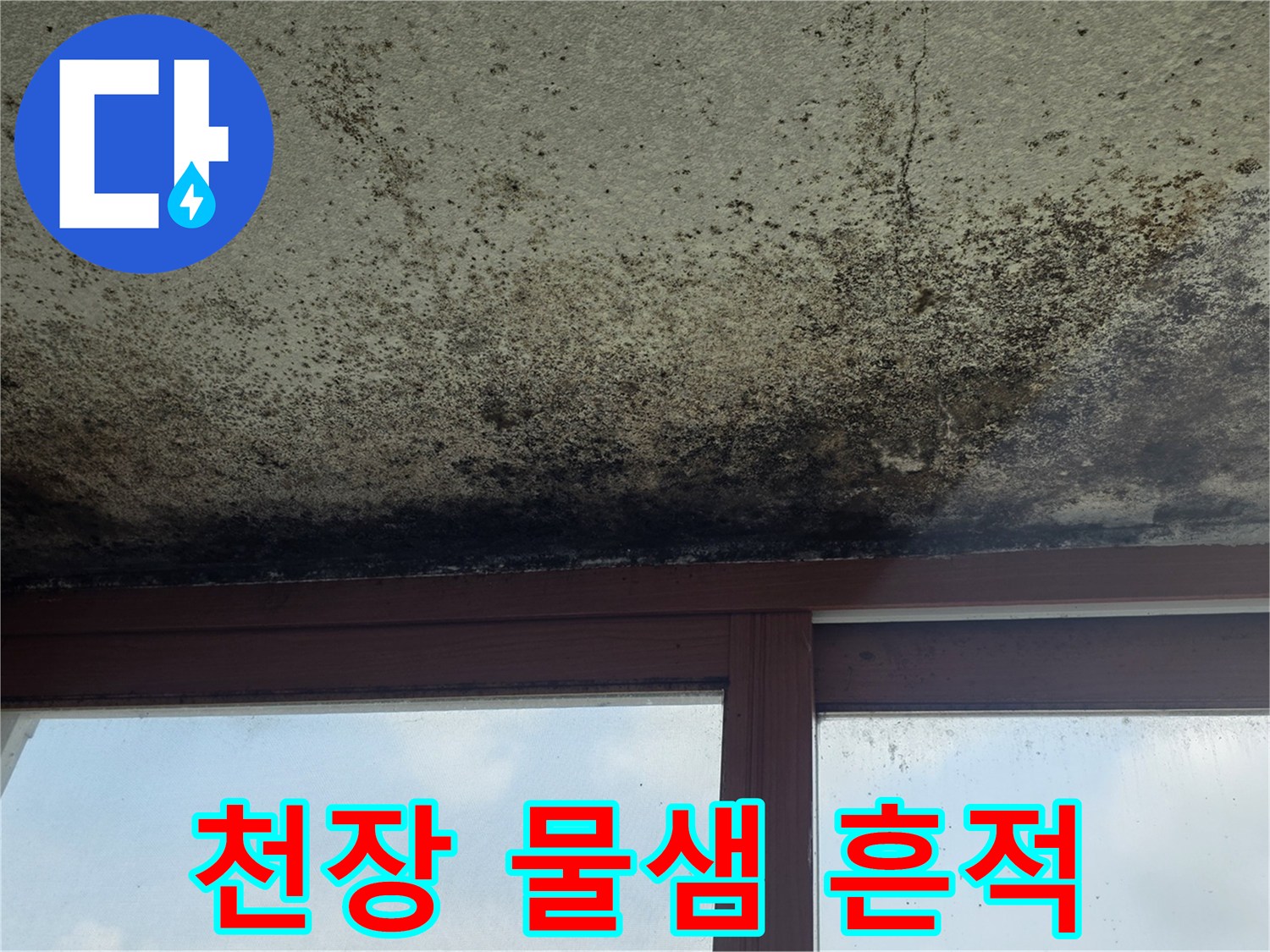 물샘-흔적으로-인해-곰팡이가-발생한-천장-상태