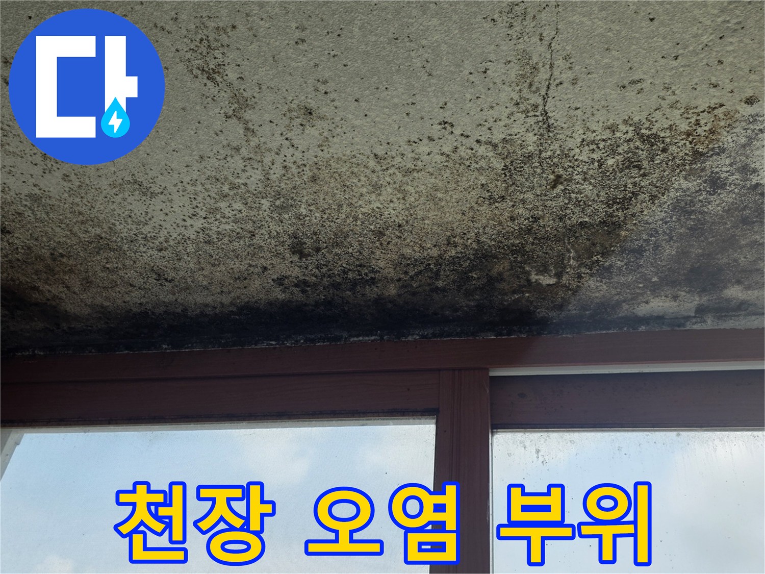 심한-누수-피해로-인해-발생한-천장-곰팡이-얼룩