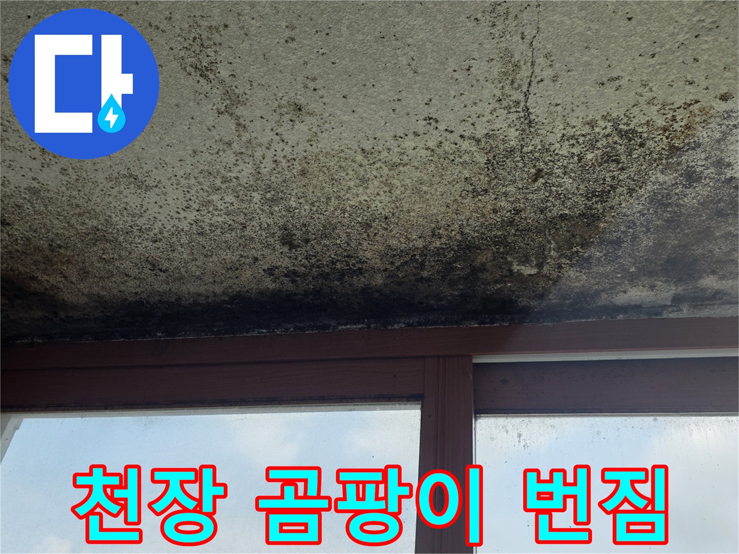 오염된-천장 마감재의 곰팡이 흔적
