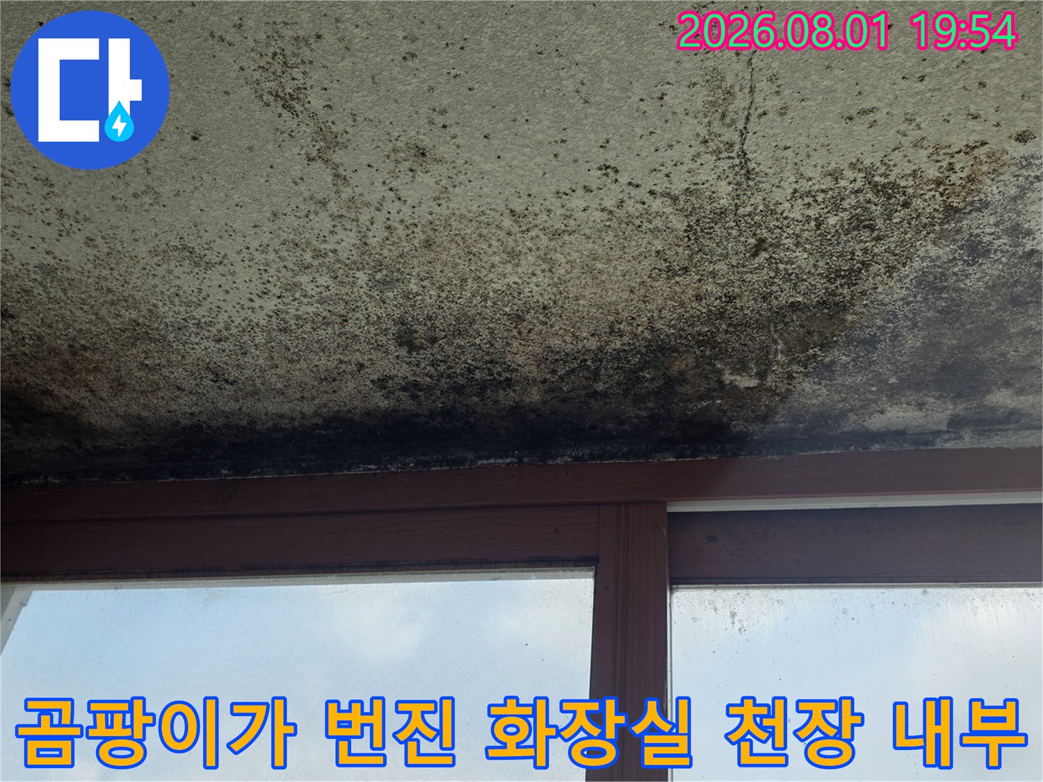 화장실 천장에 발생한 곰팡이와 물자국으로 인한 오염