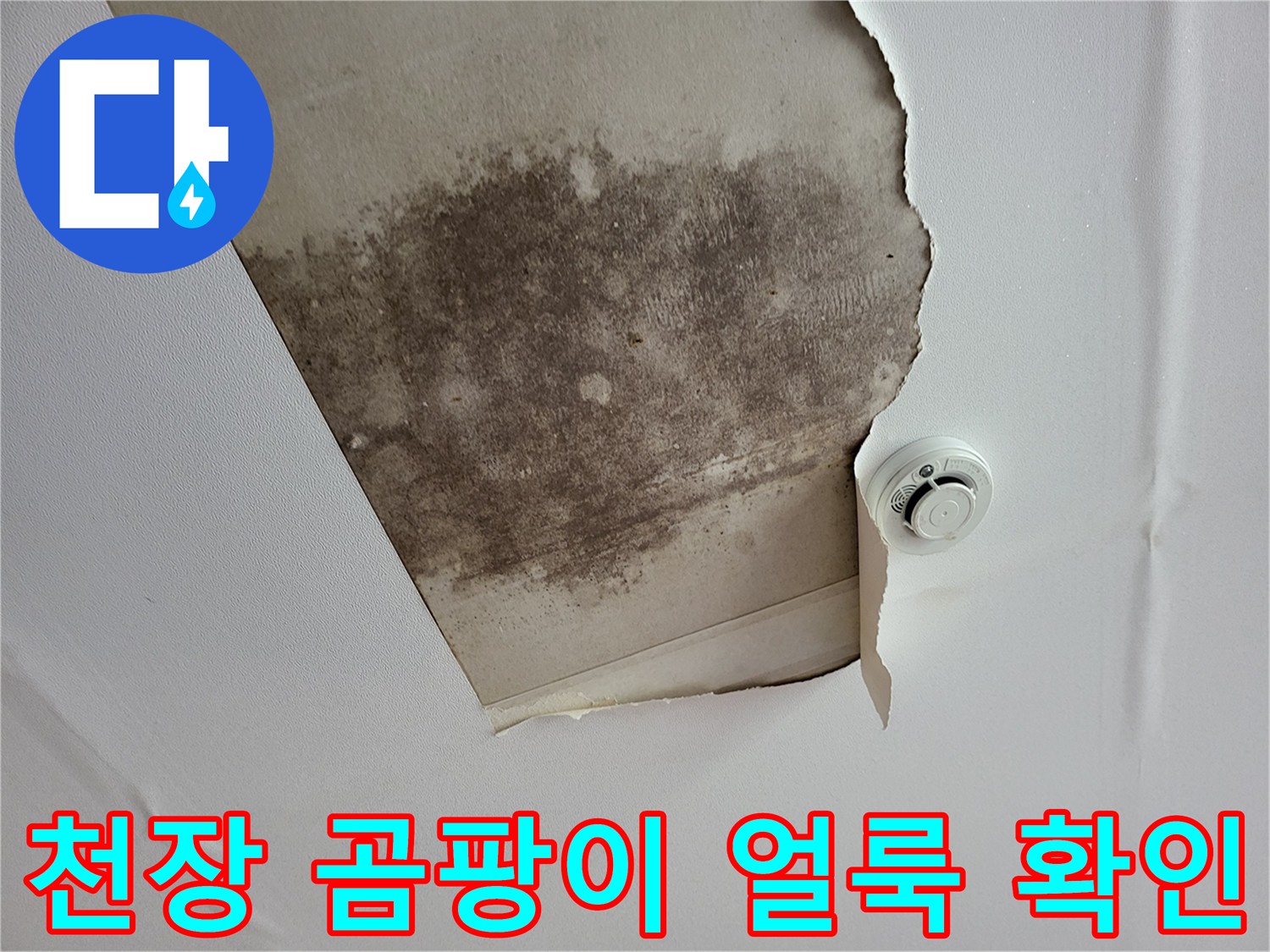 물샘 흔적으로 인한-천장 내부 오염 상태