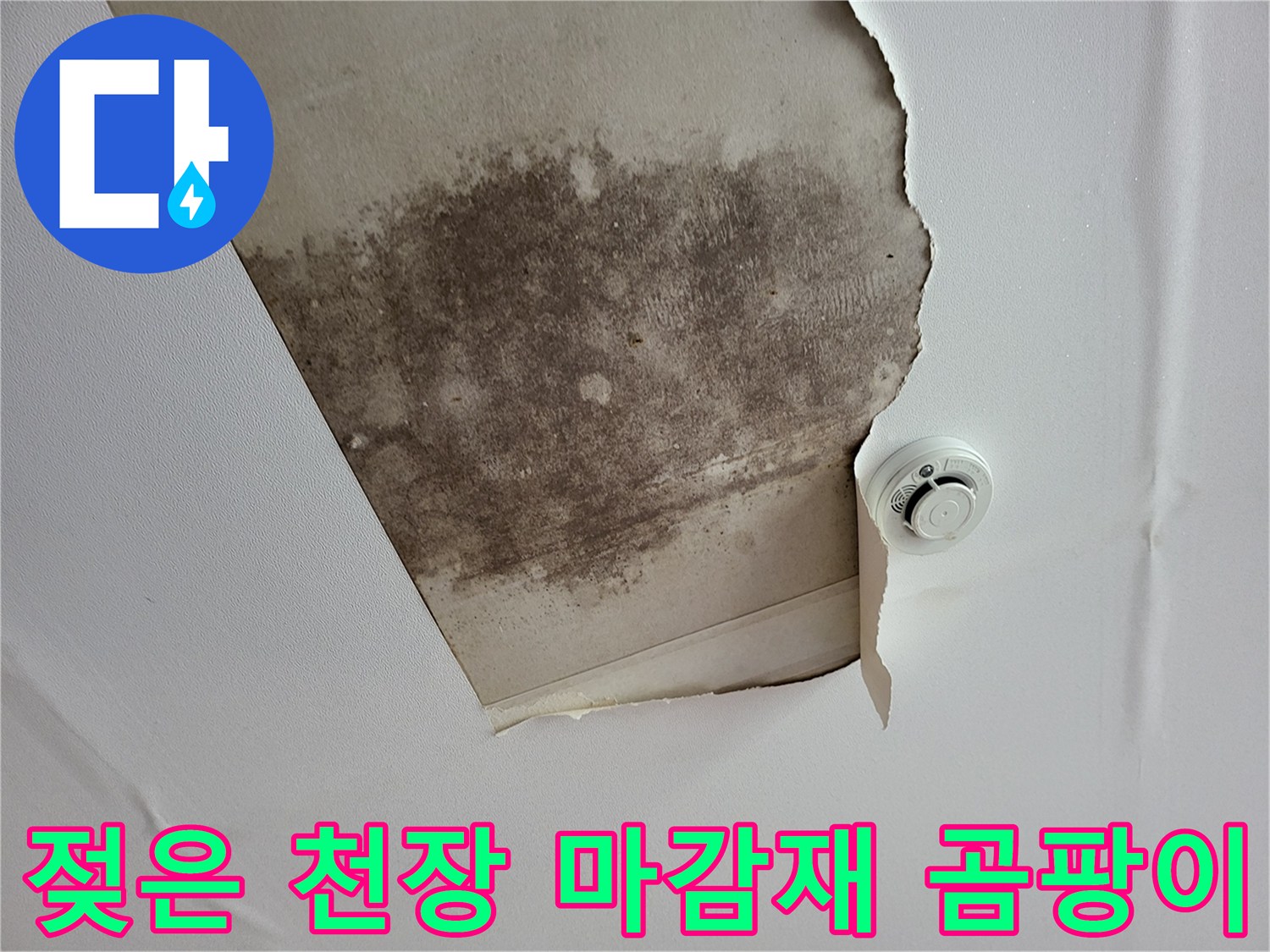 습기로 인해 검게 변한 천장 도배지와 내부 오염