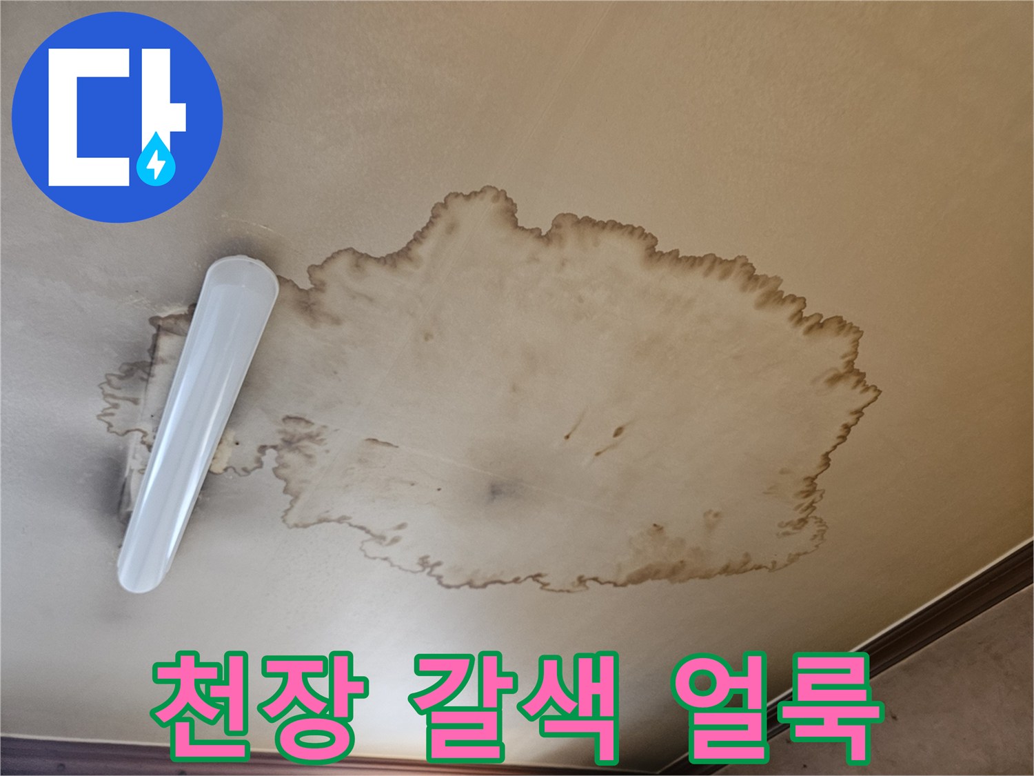 넓게 퍼져 있는 천장 마감재의 누수 변색 부위