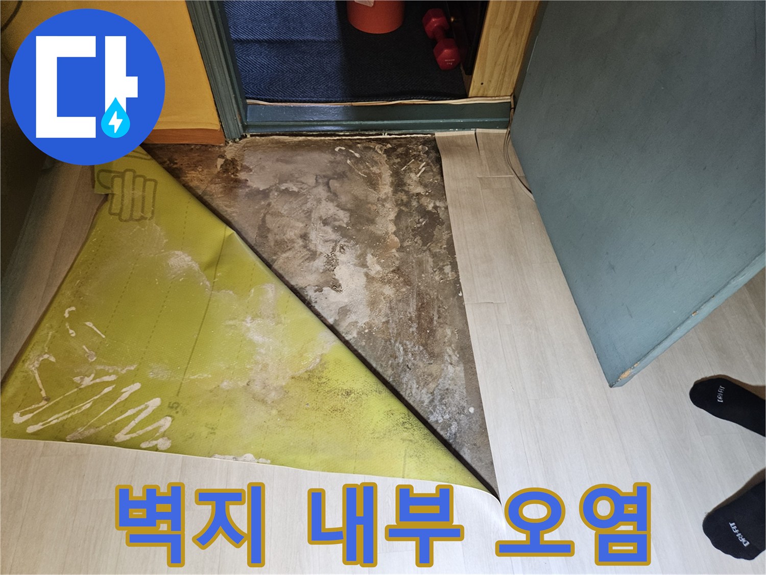 들춰낸 벽지 사이의 습기와 변색된 벽체